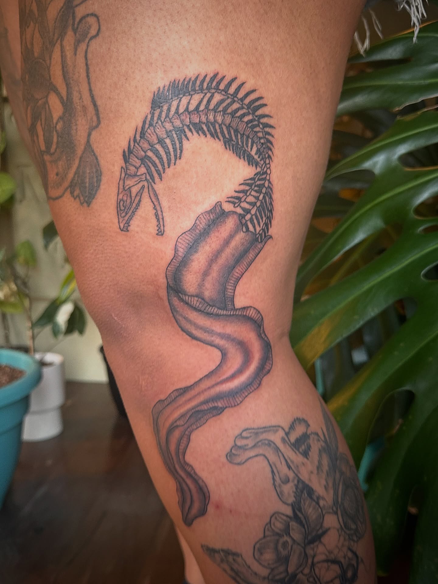 Serpent and fern black and grey tattoo on the leg by Ransom