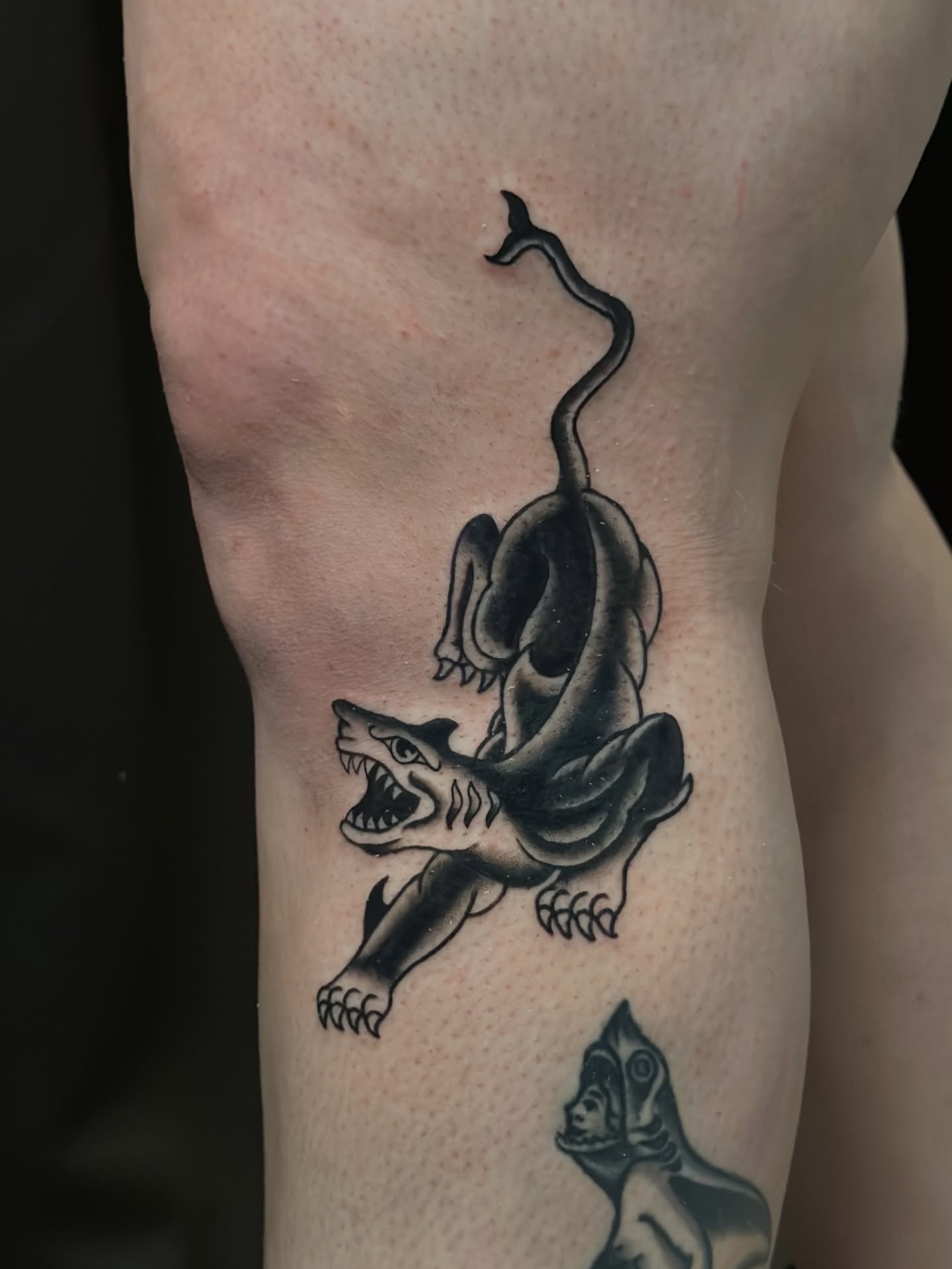 Shark and rat black and grey tattoo on the forearm by Tyyler Santor (Tattoo Artist), Somerville, Massachusetts