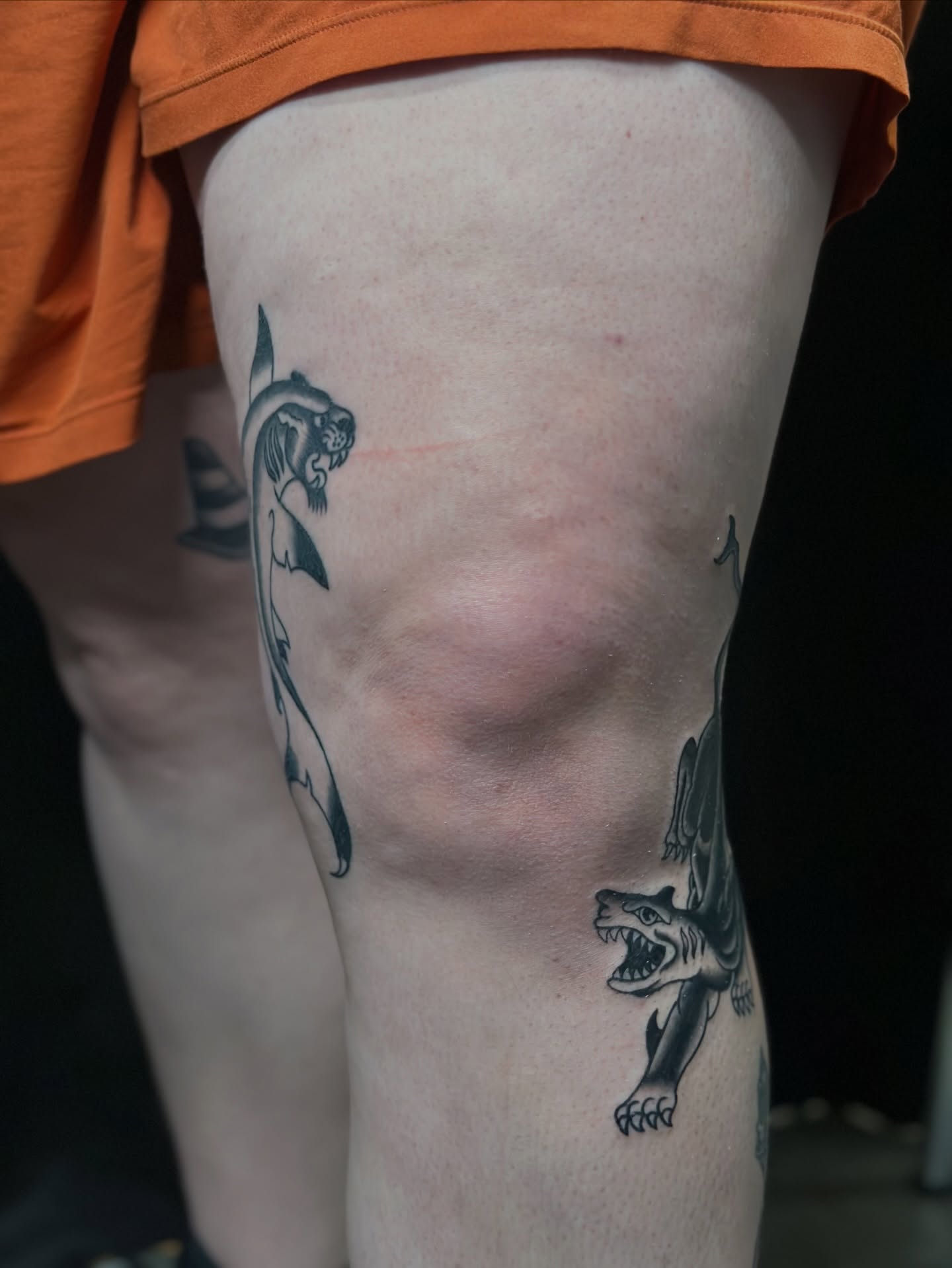 Wolf black and grey tattoo on the thigh by Tyyler Santor (Tattoo Artist), Somerville, Massachusetts