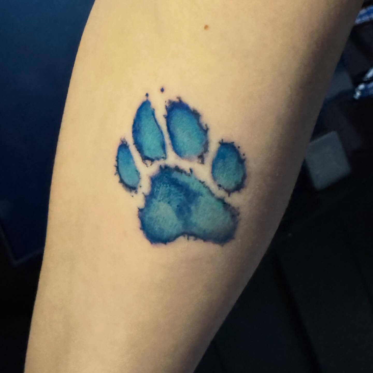 Paw print watercolor tattoo on the forearm by Lindsay