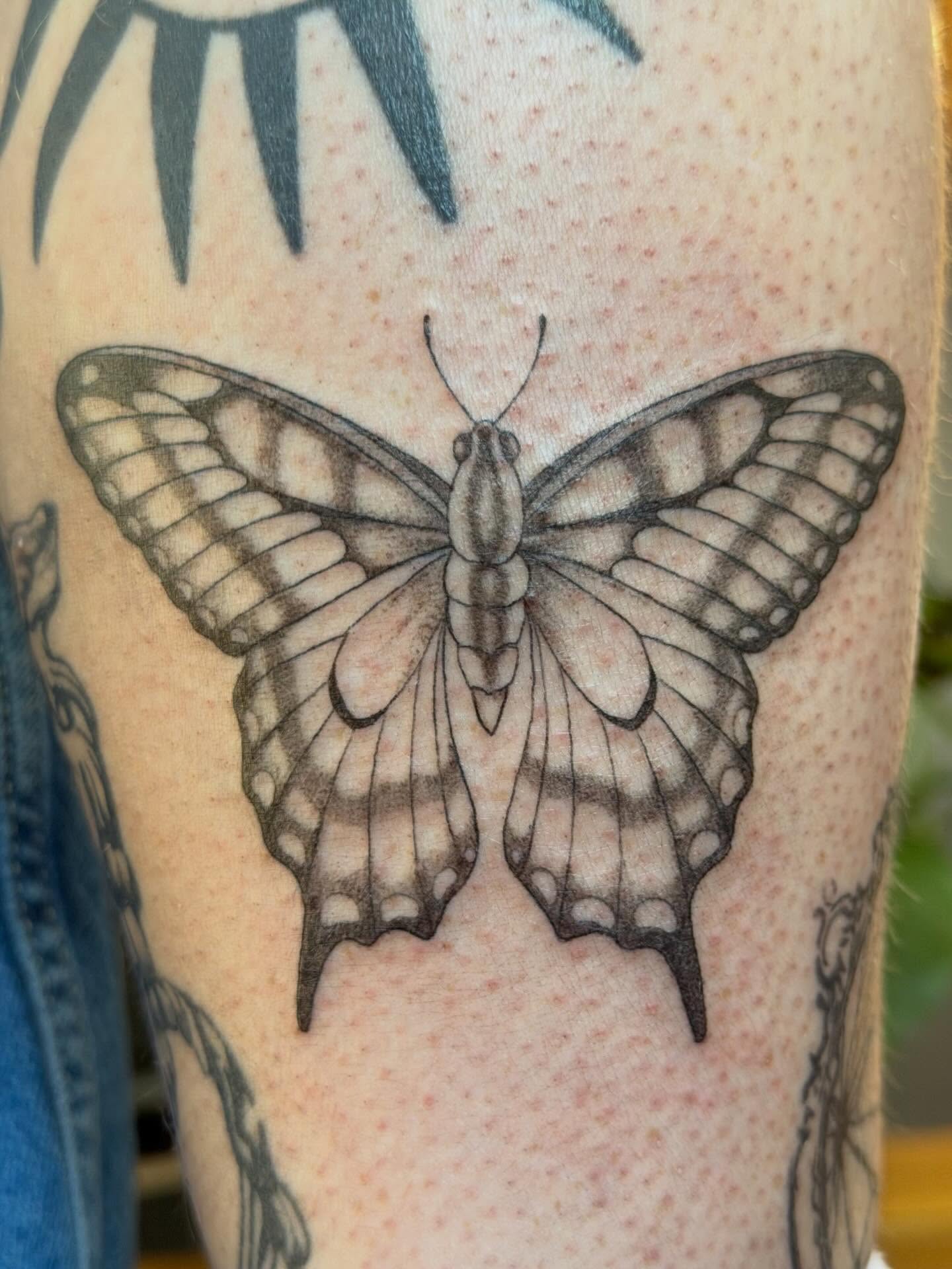 Butterfly black and grey tattoo on the forearm by ⊹ Avery Peterson ⊹