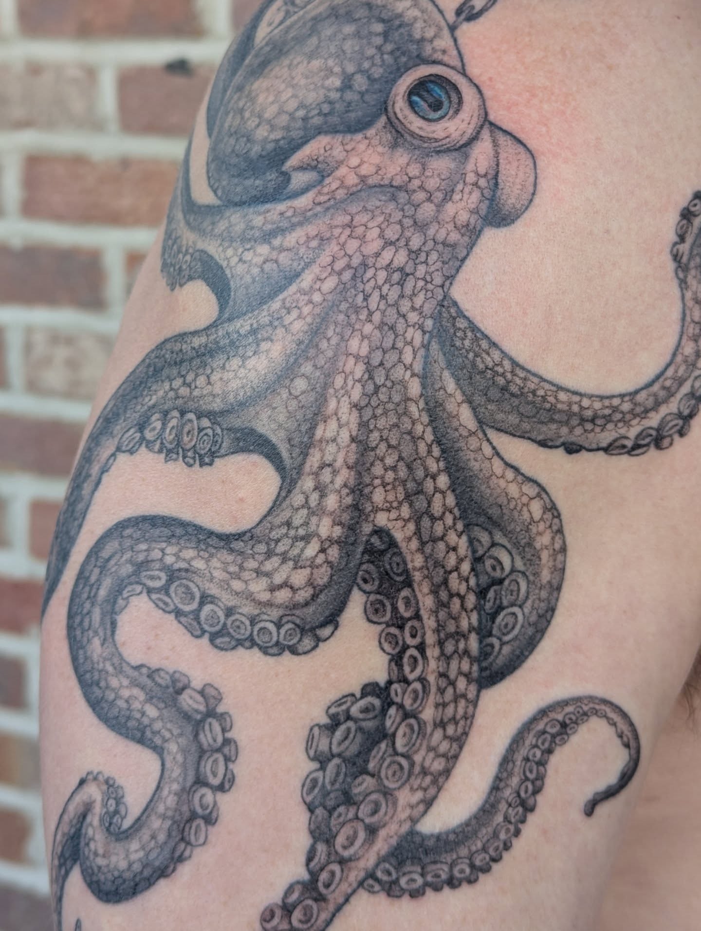 Tattoo by @colormemegantattoos โ realism, black_and_grey