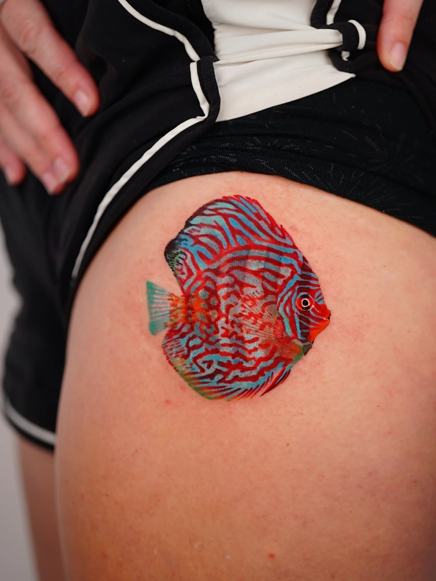 Discus fish realism tattoo on the thigh by Vii