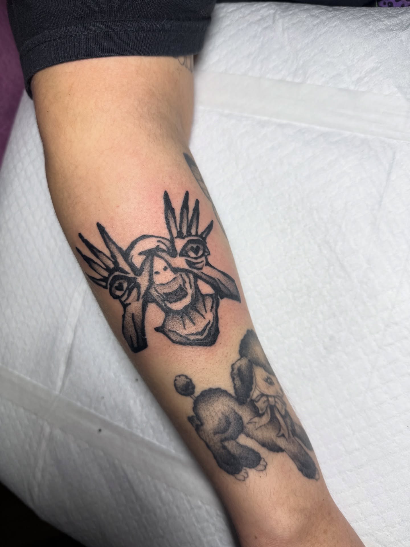 Donkey black and grey tattoo on the forearm by z o y a, Seattle, Washington
