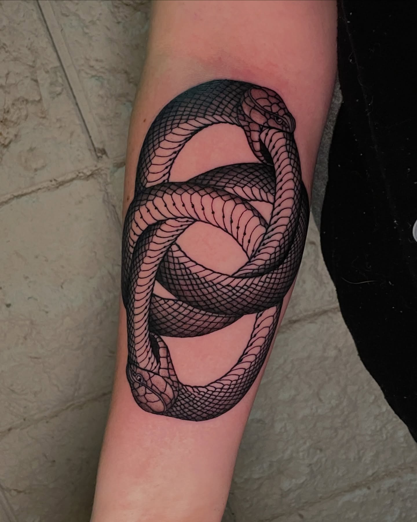Snake black and grey tattoo on the forearm by Austin Clark