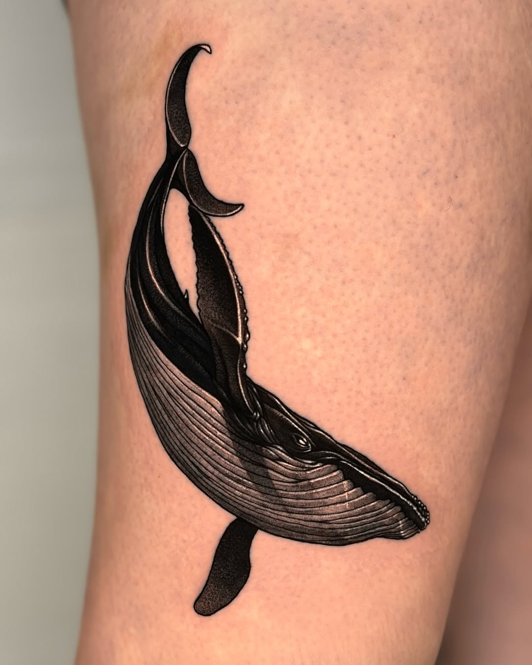 Tattoo by HUDO 후도 | Montreal tattoo Snake tattoo, Montreal, Canada