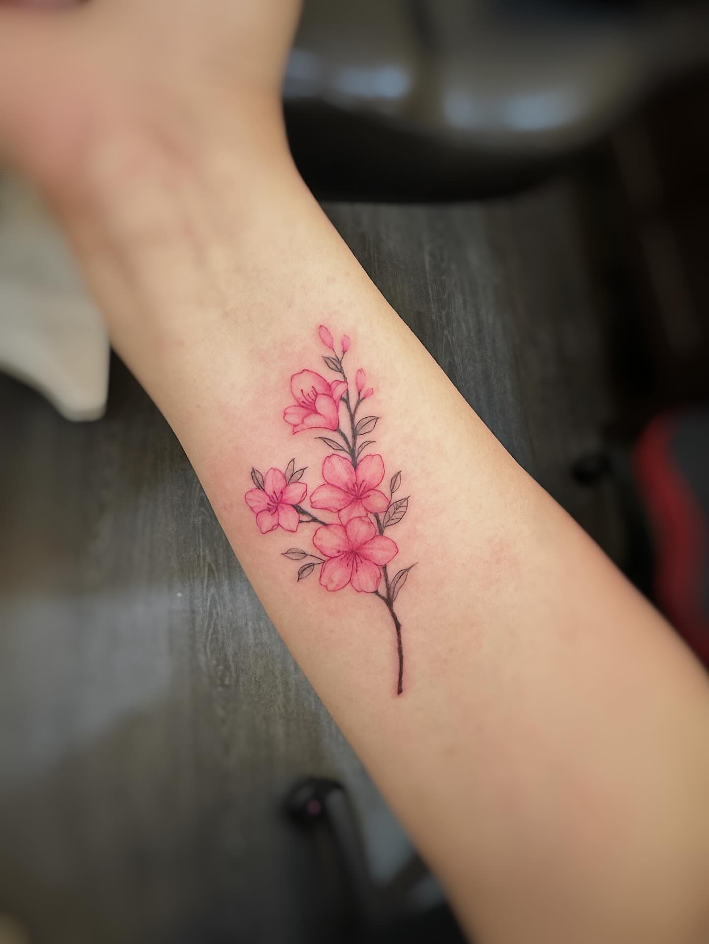Cherry blossoms dotwork tattoo on the forearm by 墨匠紋身|新店店, New Taipei City