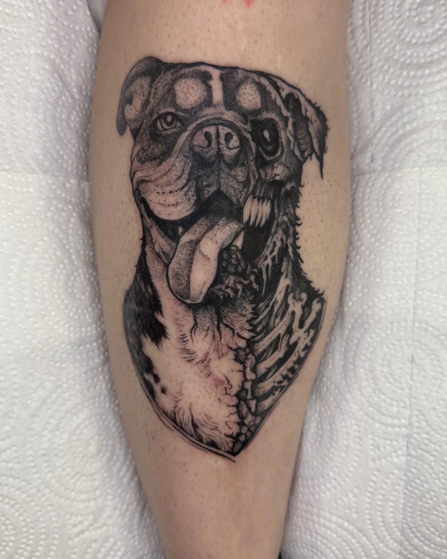 Bulldog dotwork tattoo on the forearm by amanda malia wega
