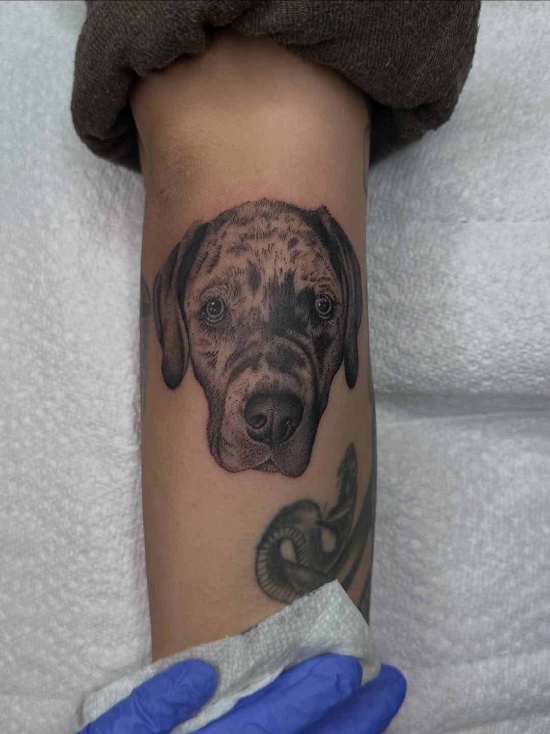 Tattoo by @tattoosbyhails — realism, black_and_grey