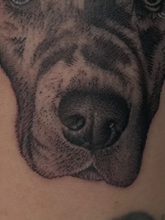 Tattoo by @tattoosbyhails — realism, black_and_grey