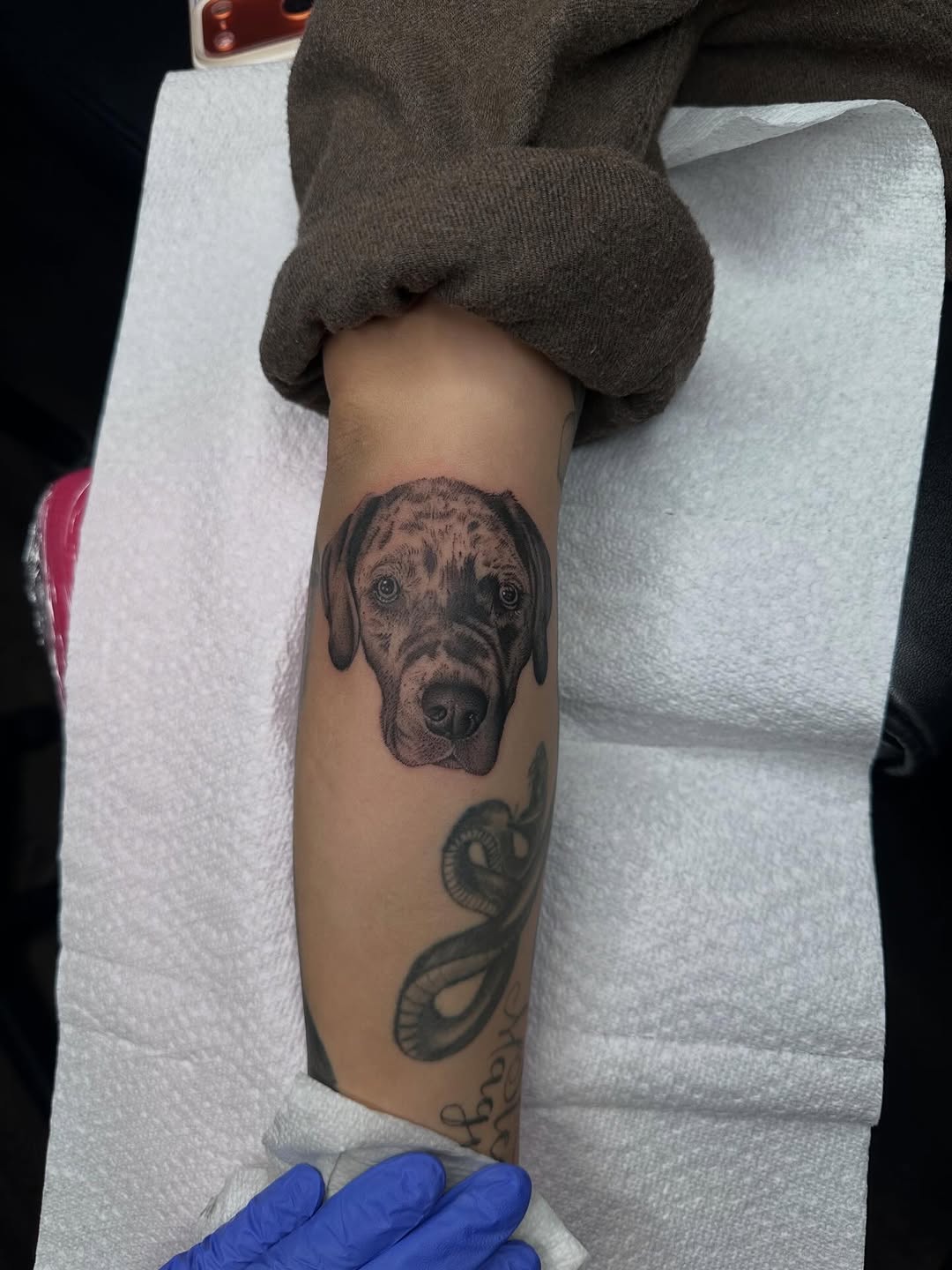 Tattoo by @tattoosbyhails — realism, black_and_grey