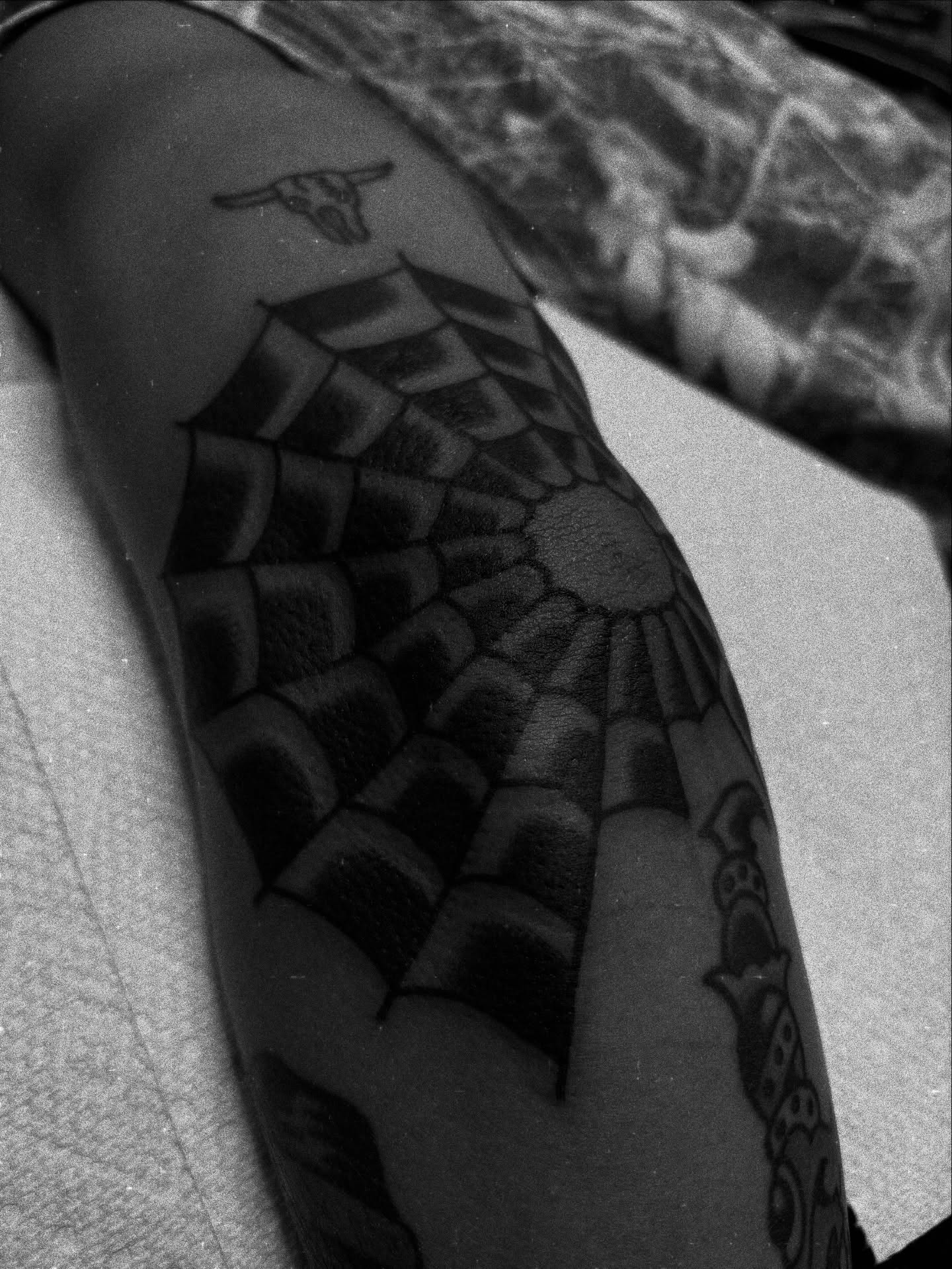 Spider web black and grey tattoo on the forearm by Carlos Gonzalez Tattoo, Dallas, Texas