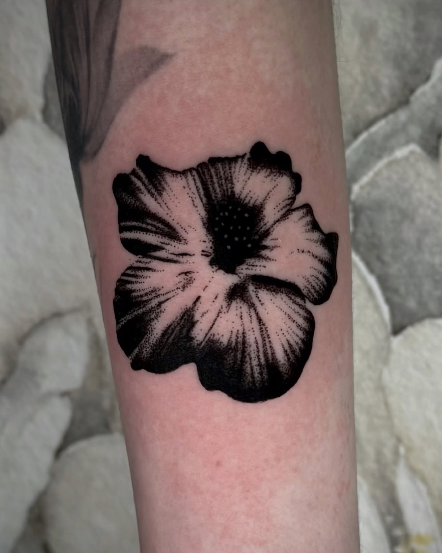 Flower dotwork tattoo on the forearm by Emily‹𝟹
