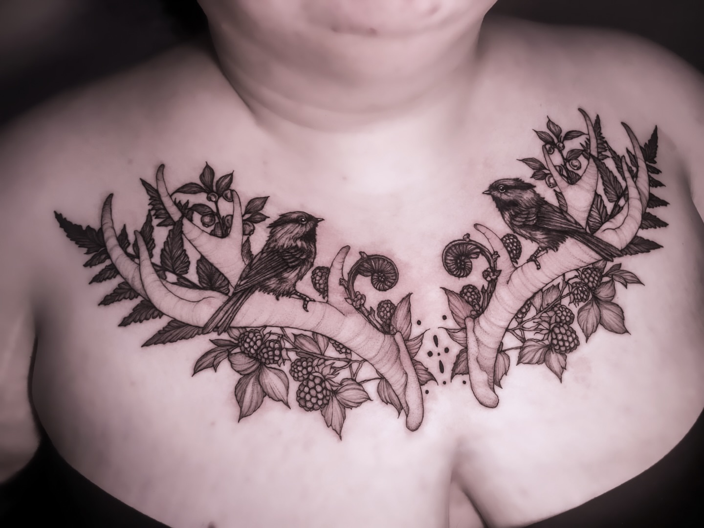 Birds and berries realism tattoo on the chest by 𝒥𝓊𝓃𝒾𝓅𝑒𝓇 𝒫𝑜𝓈𝓉 (Juju)