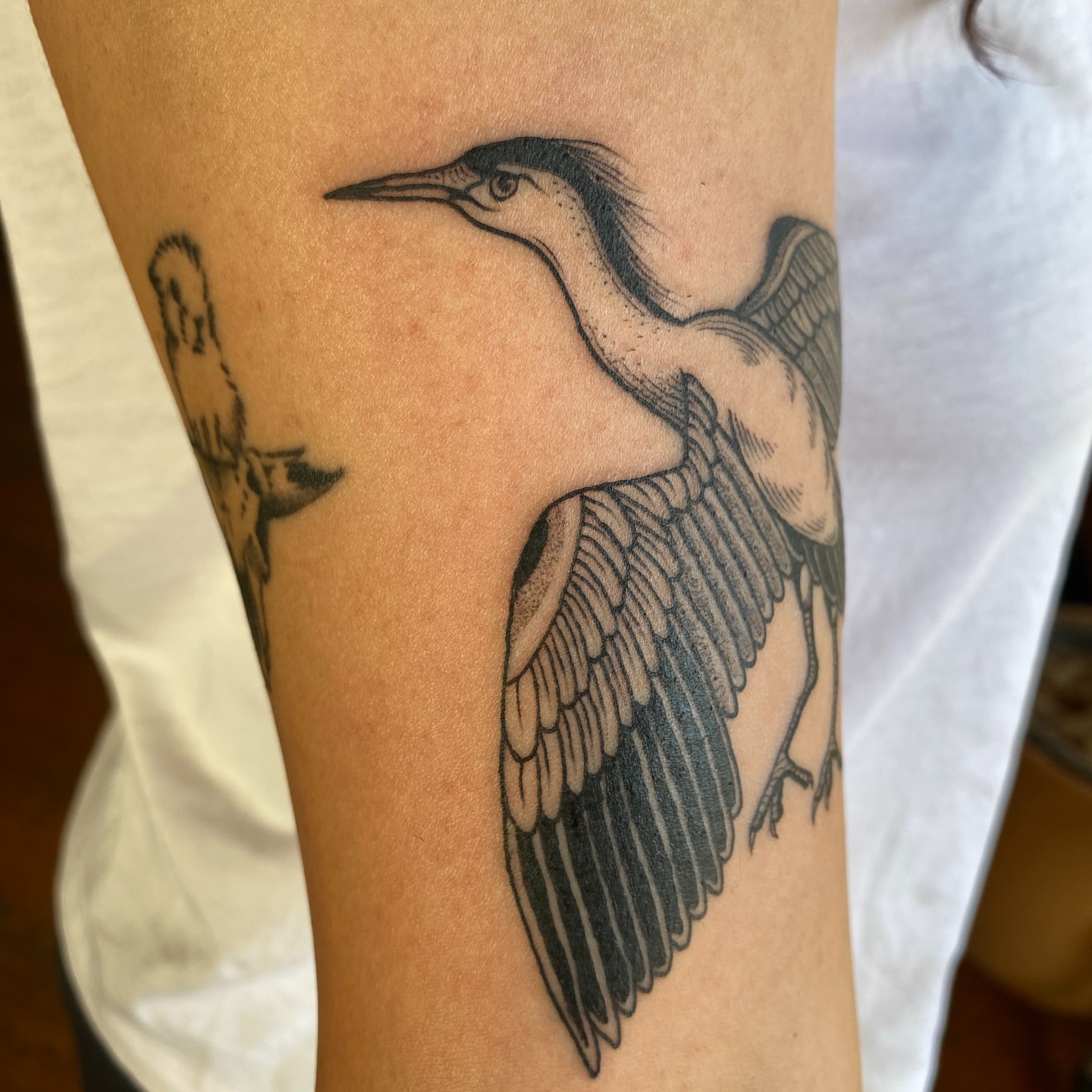 Tattoo by @rippintattoos — black_and_grey