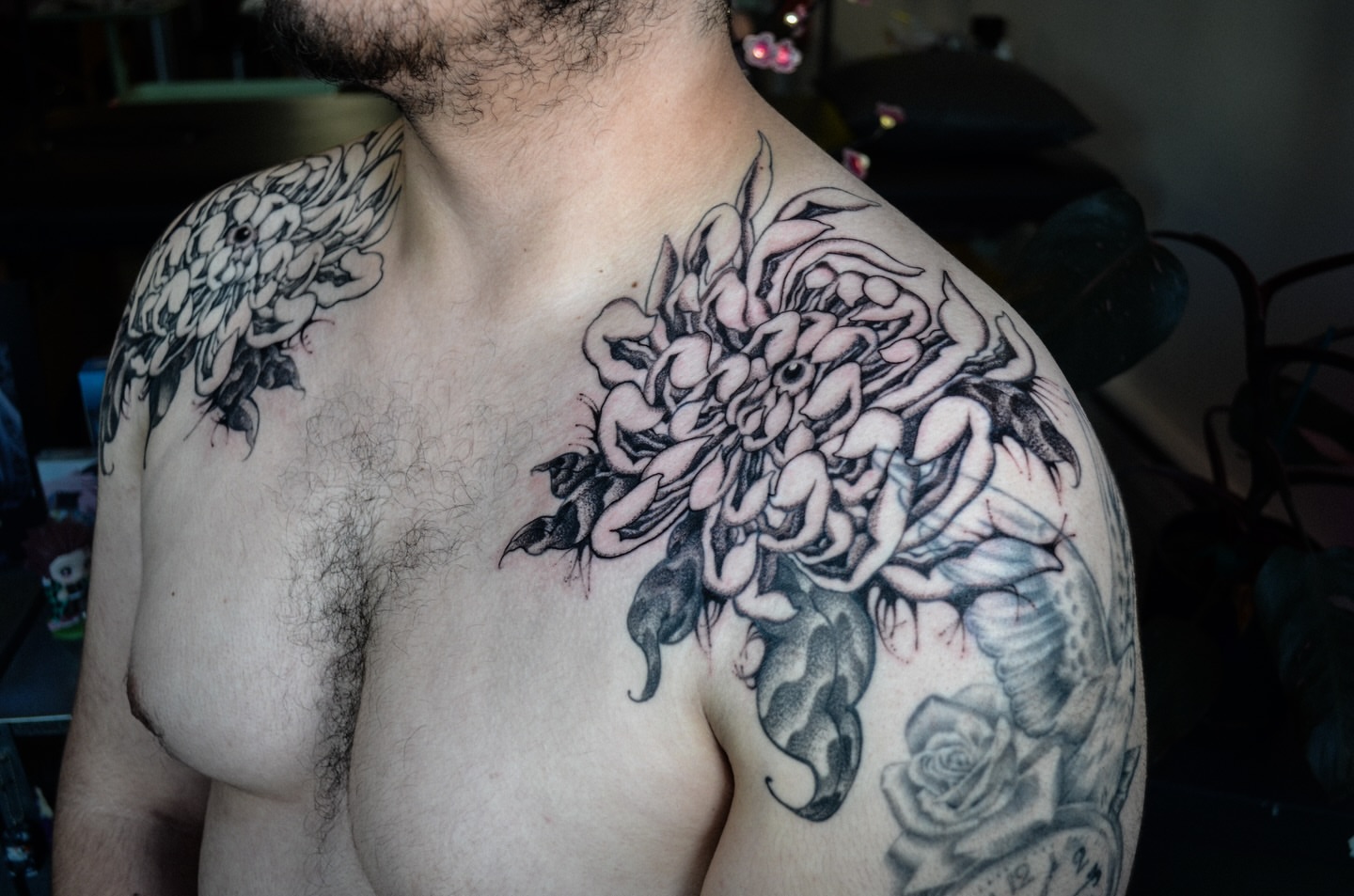 Chrysanthemum black and grey tattoo on the chest by мια ѕυη