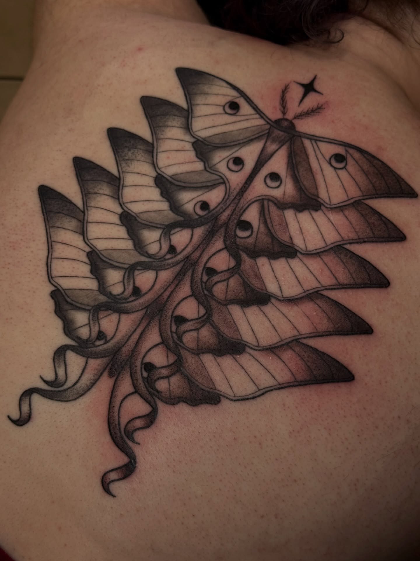 Moth black and grey tattoo on the shoulder by šianca٠࣪ā
