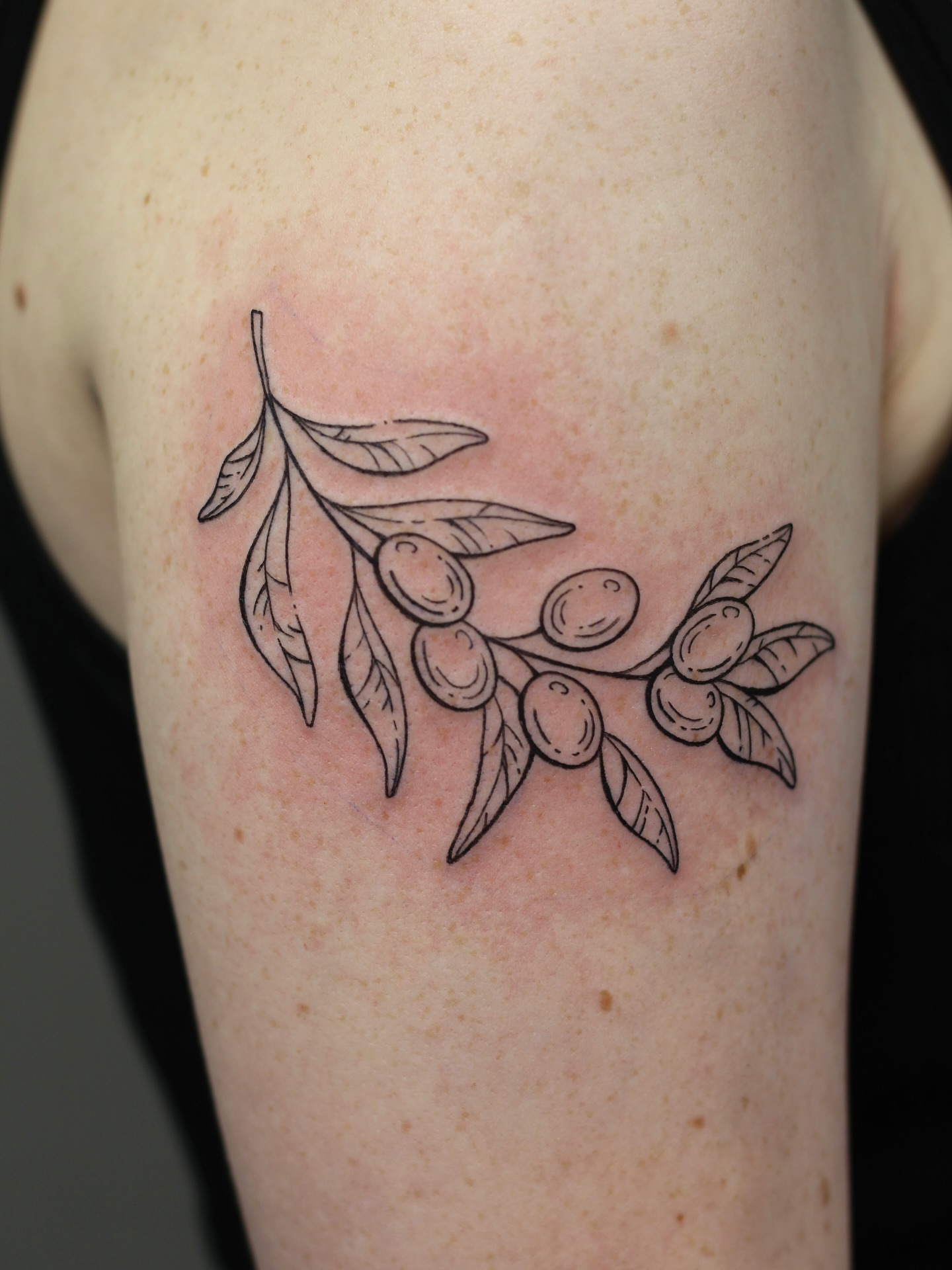 Olive branch black and grey tattoo on the forearm by Amanda Karram