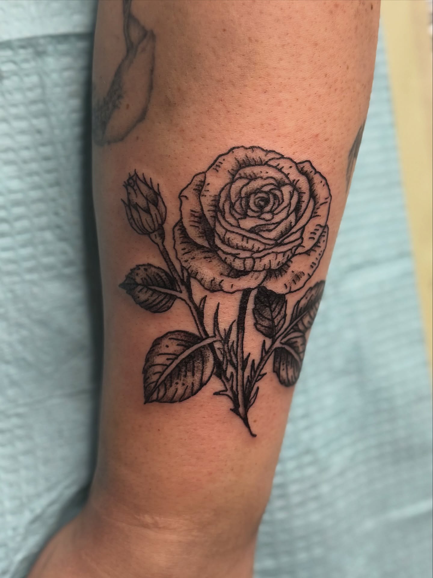 Rose black and grey tattoo on the forearm by Tattoo Artist, Philadelphia, Pennsylvania