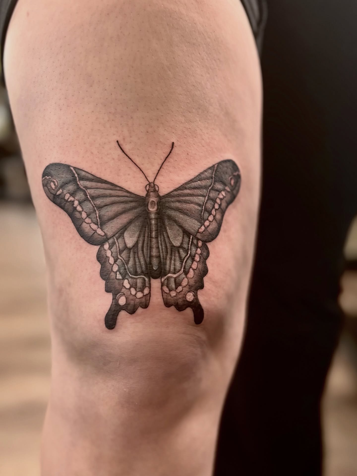 Butterfly black and grey tattoo on the forearm by Sage Ray ♡