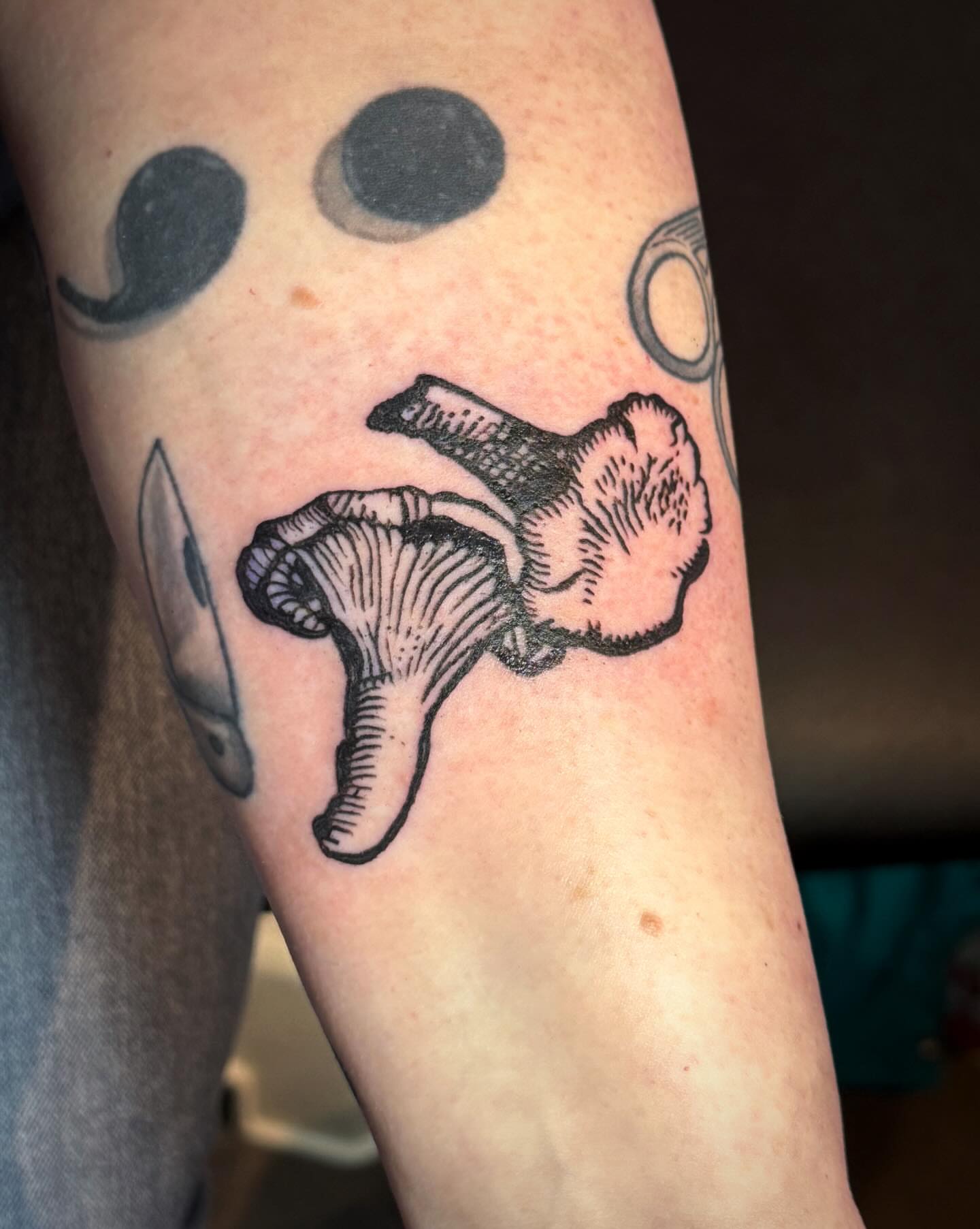 Mushroom black and grey tattoo on the forearm by Luna Enriquez⚡️, Portland, Oregon