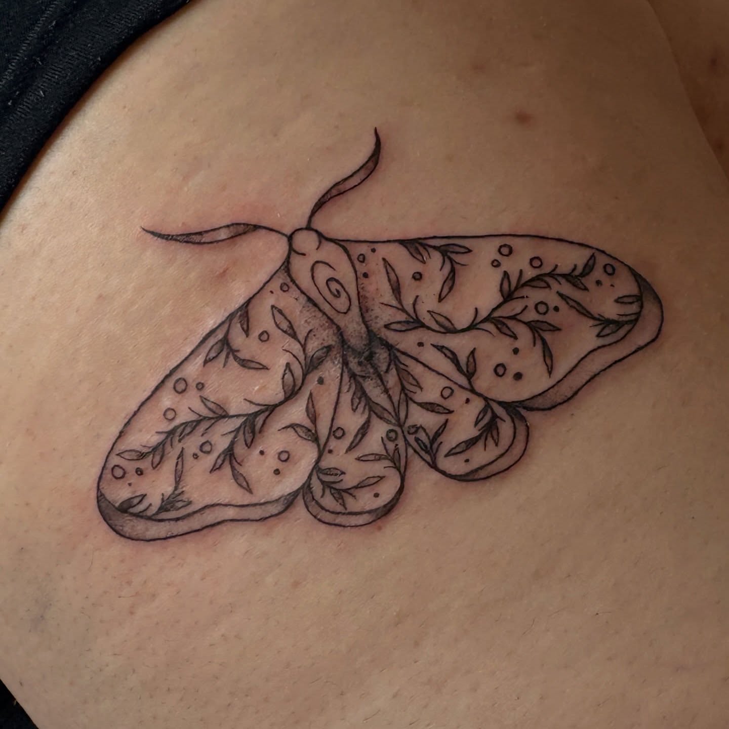 Moth black and grey tattoo on the shoulder by Emma🌸✨Austin Tattoo Artist