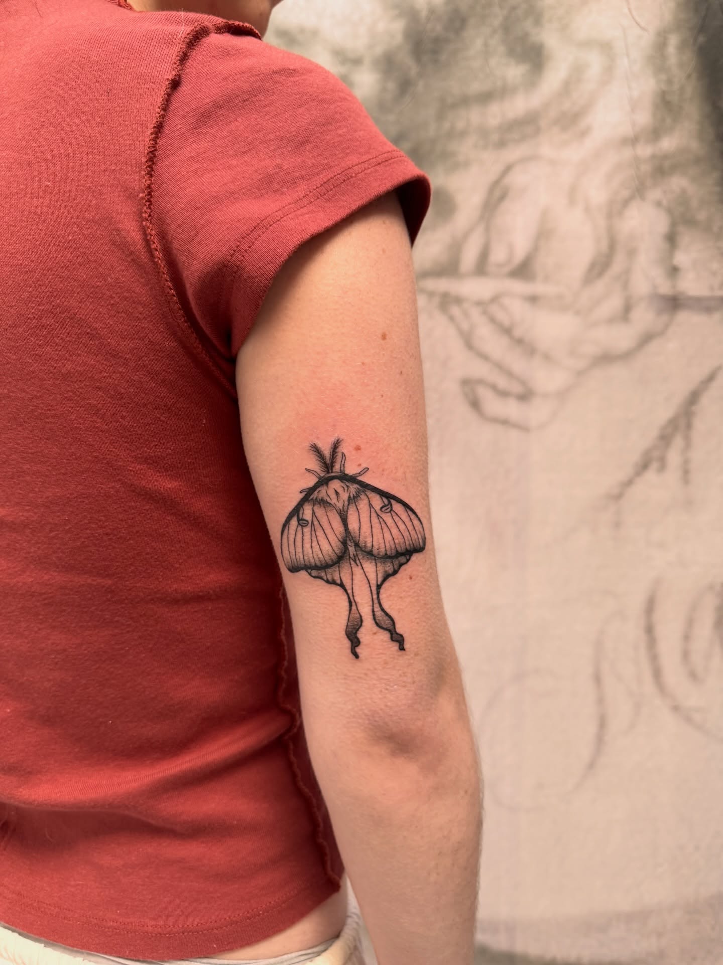 Moth black and grey tattoo on the forearm by Sam Padilla