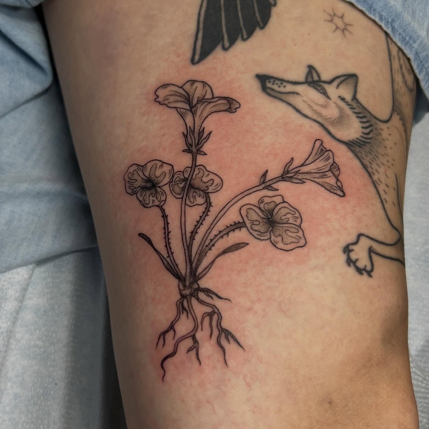 Flowers and wolf black and grey tattoo on the thigh by Nikki Power