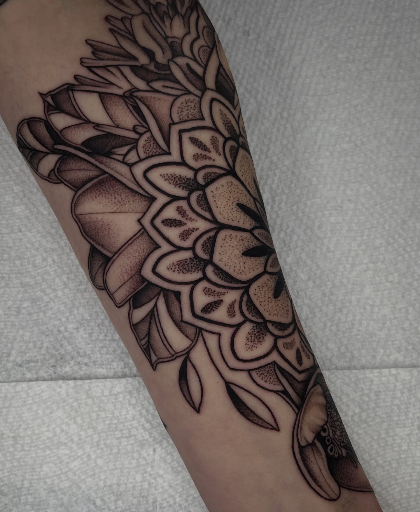 Lotus flowers dotwork tattoo on the forearm by Jordan Hunt