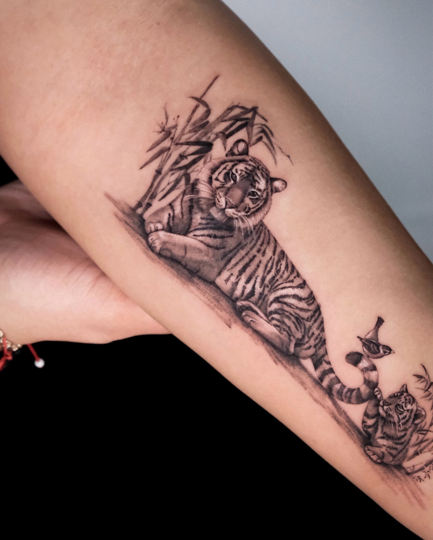 Tiger realism tattoo on the forearm by Da-An ･ﾟ✧ 다 안 𓇬˖