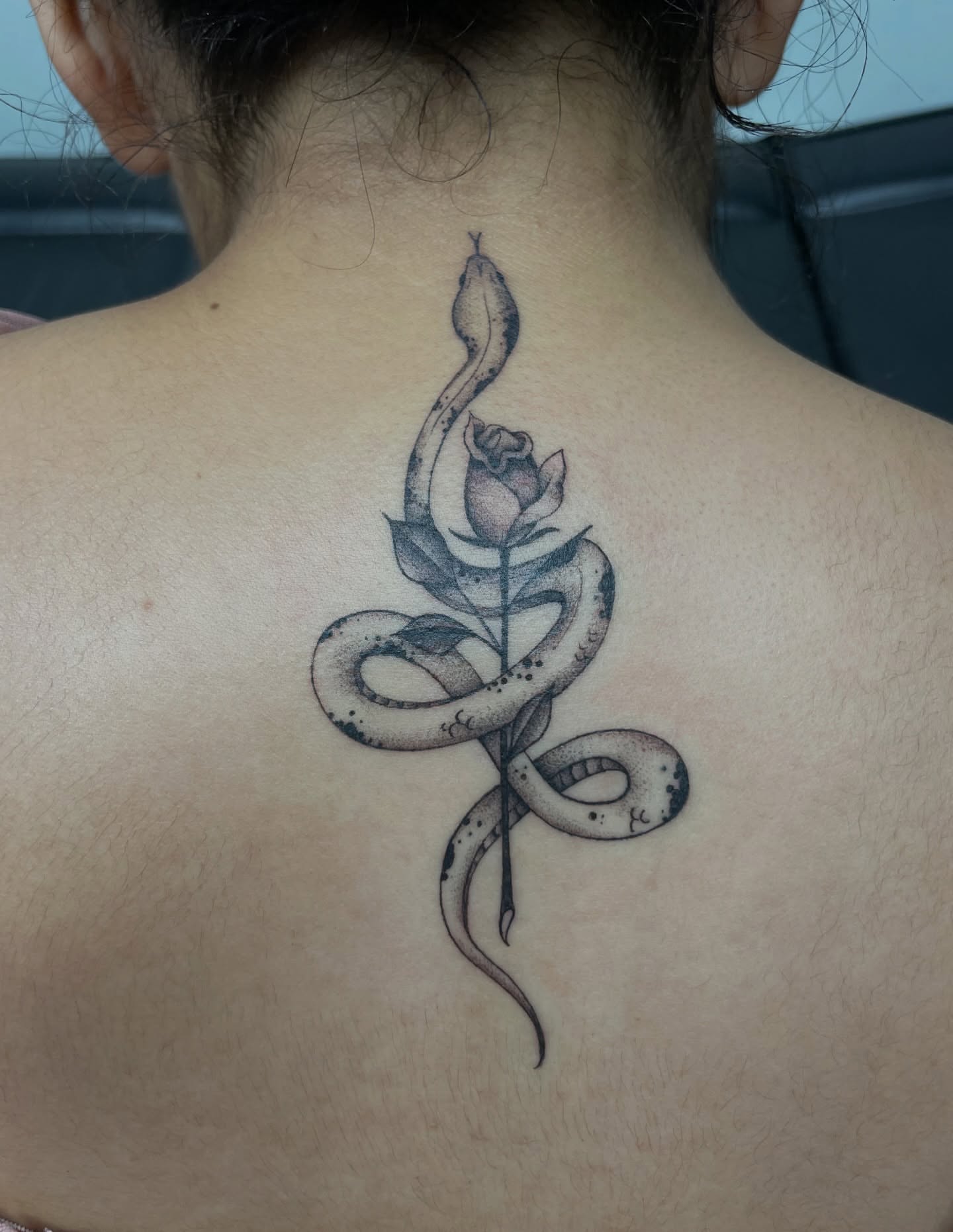 Snake and rose dotwork tattoo on the back by North County Sd