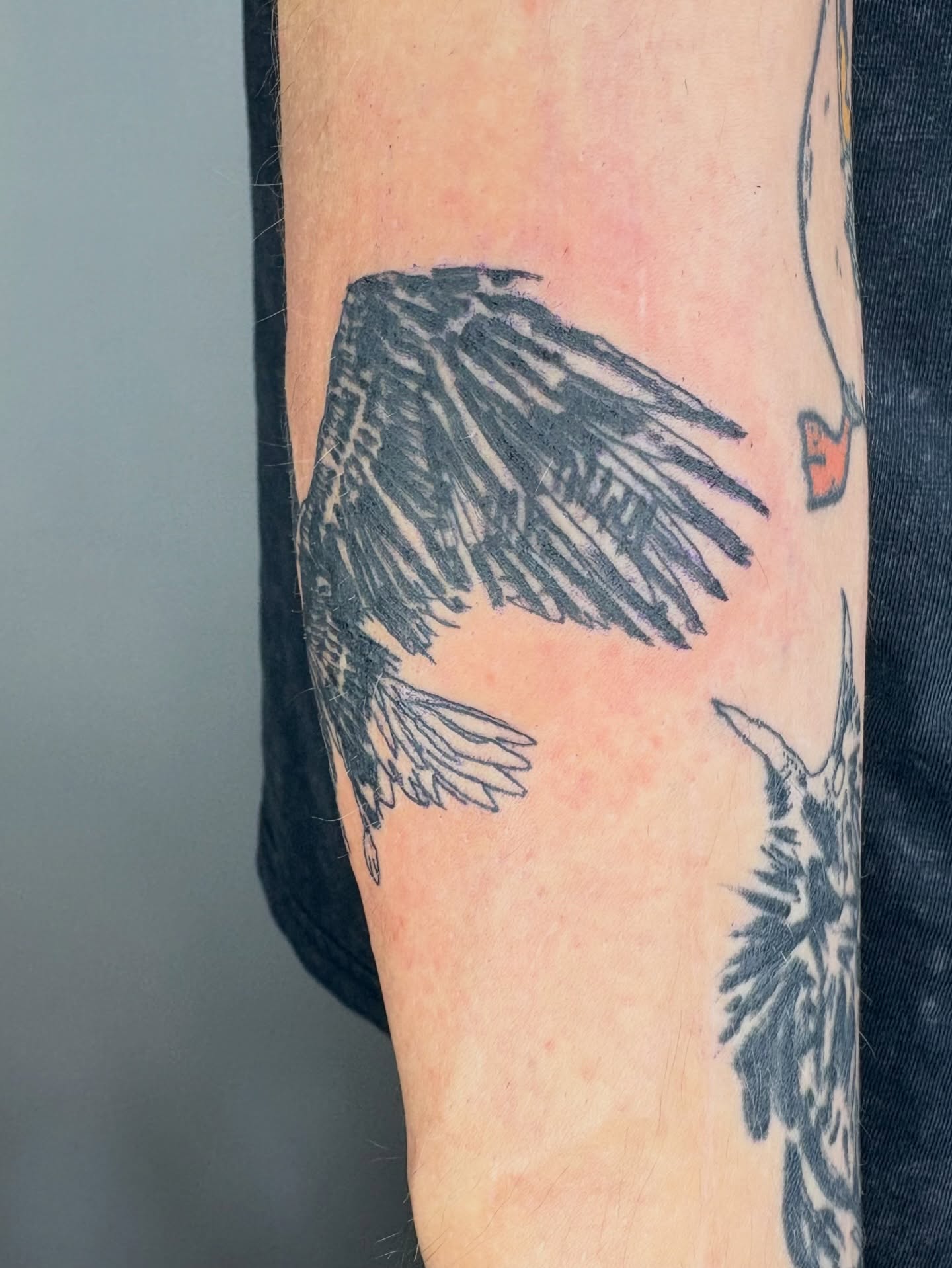 Tattoo by @lamhamilton β black_and_grey