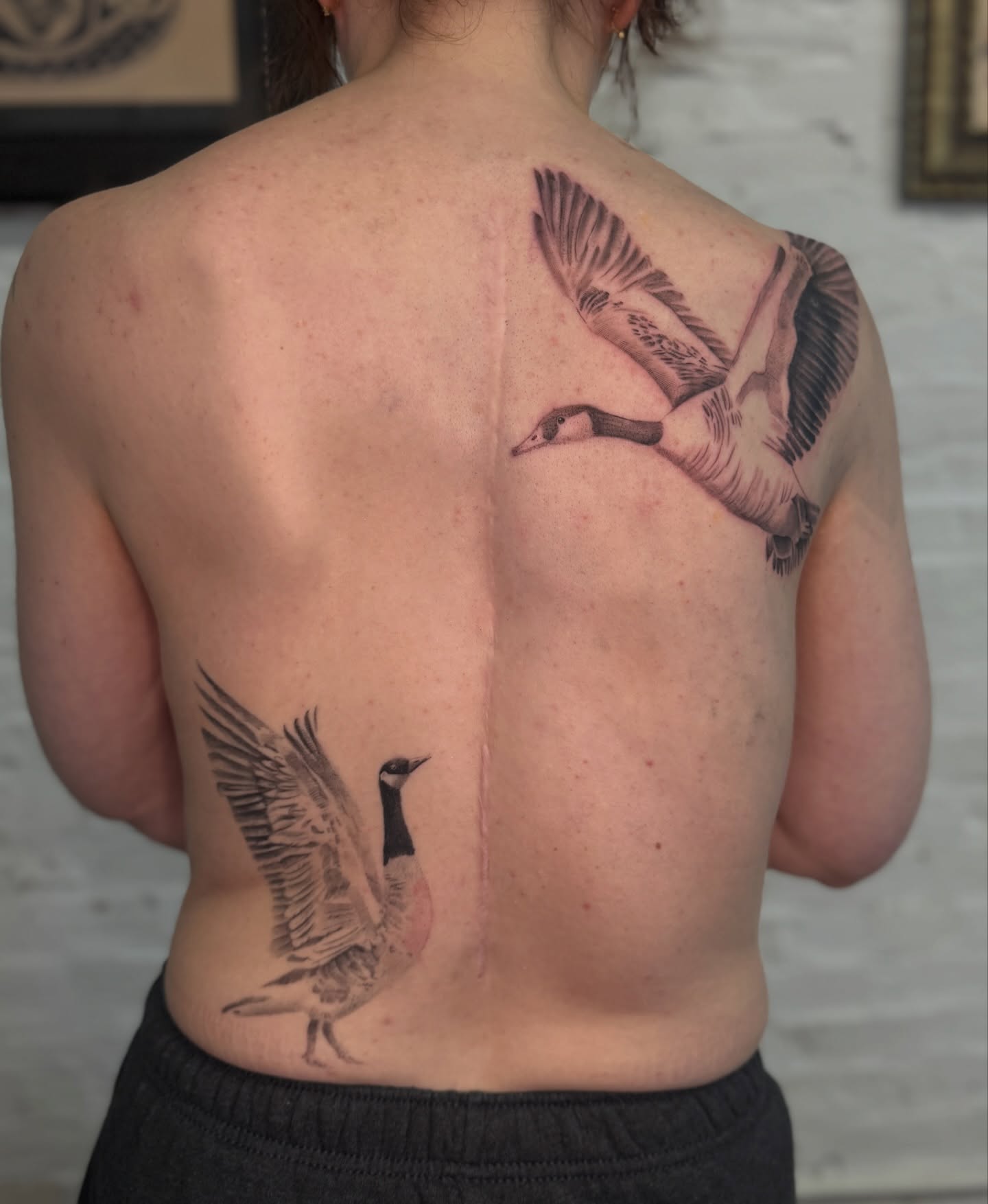 Geese realism tattoo on the back by Josh Infante