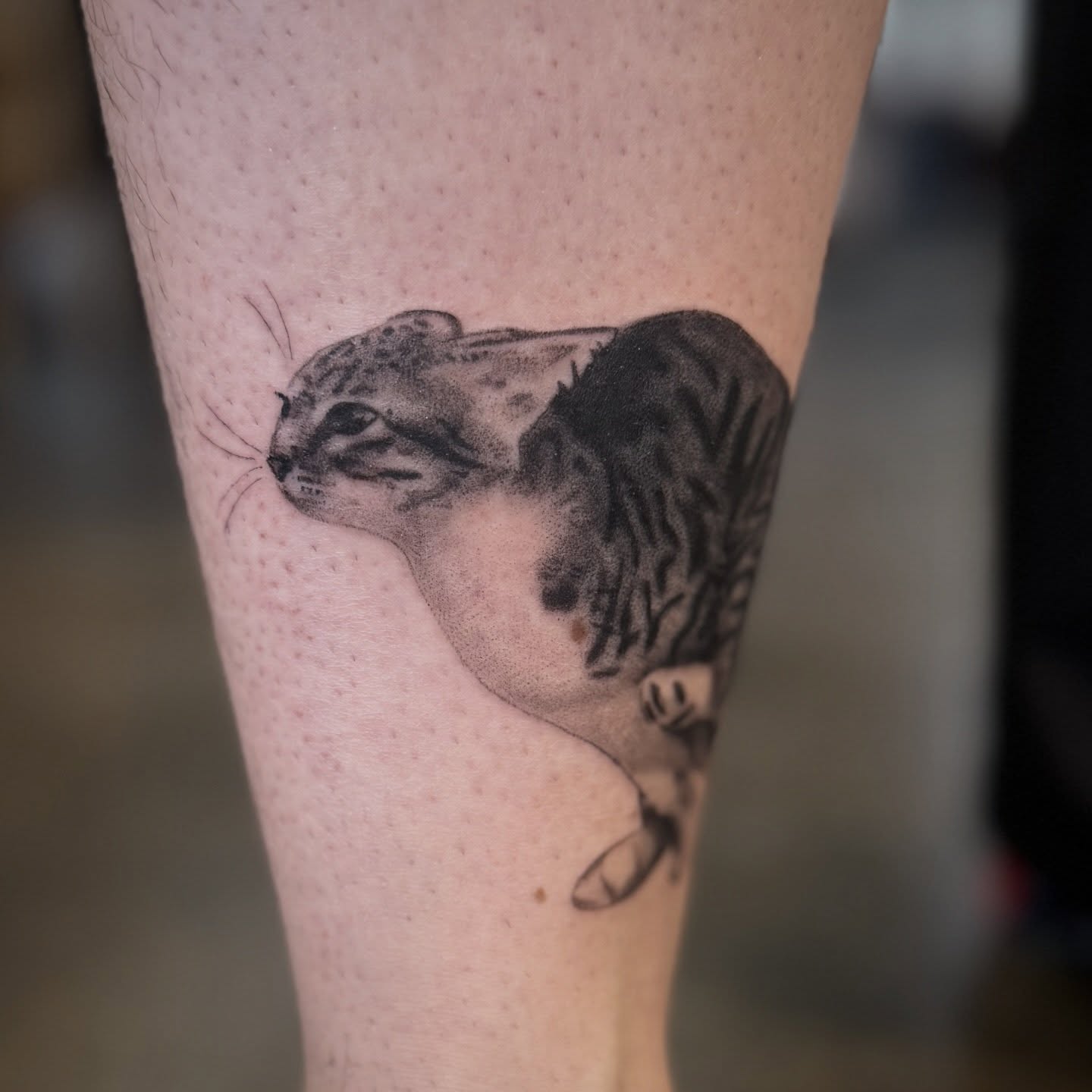 Otter black and grey tattoo on the forearm by Leah - Tattoo Artist