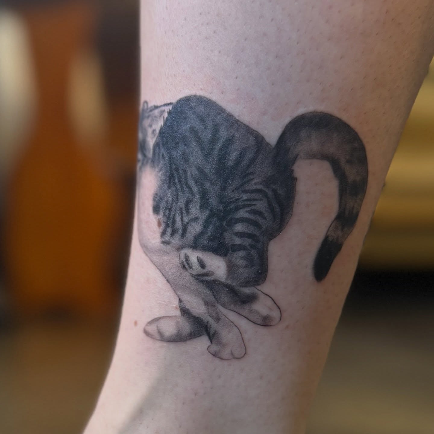 Cat black and grey tattoo on the forearm by Leah - Tattoo Artist