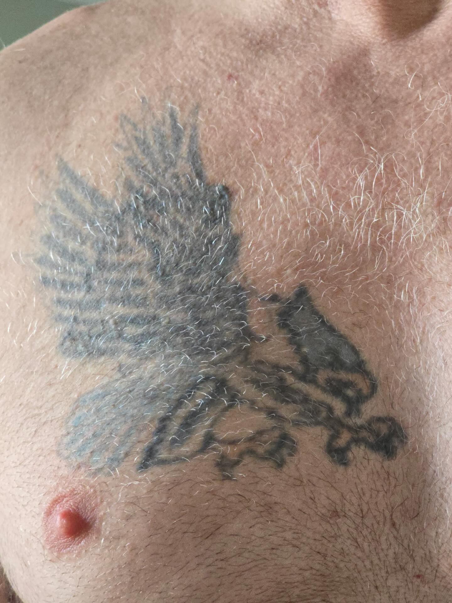 Bird black and grey tattoo on the chest by Ali Calis