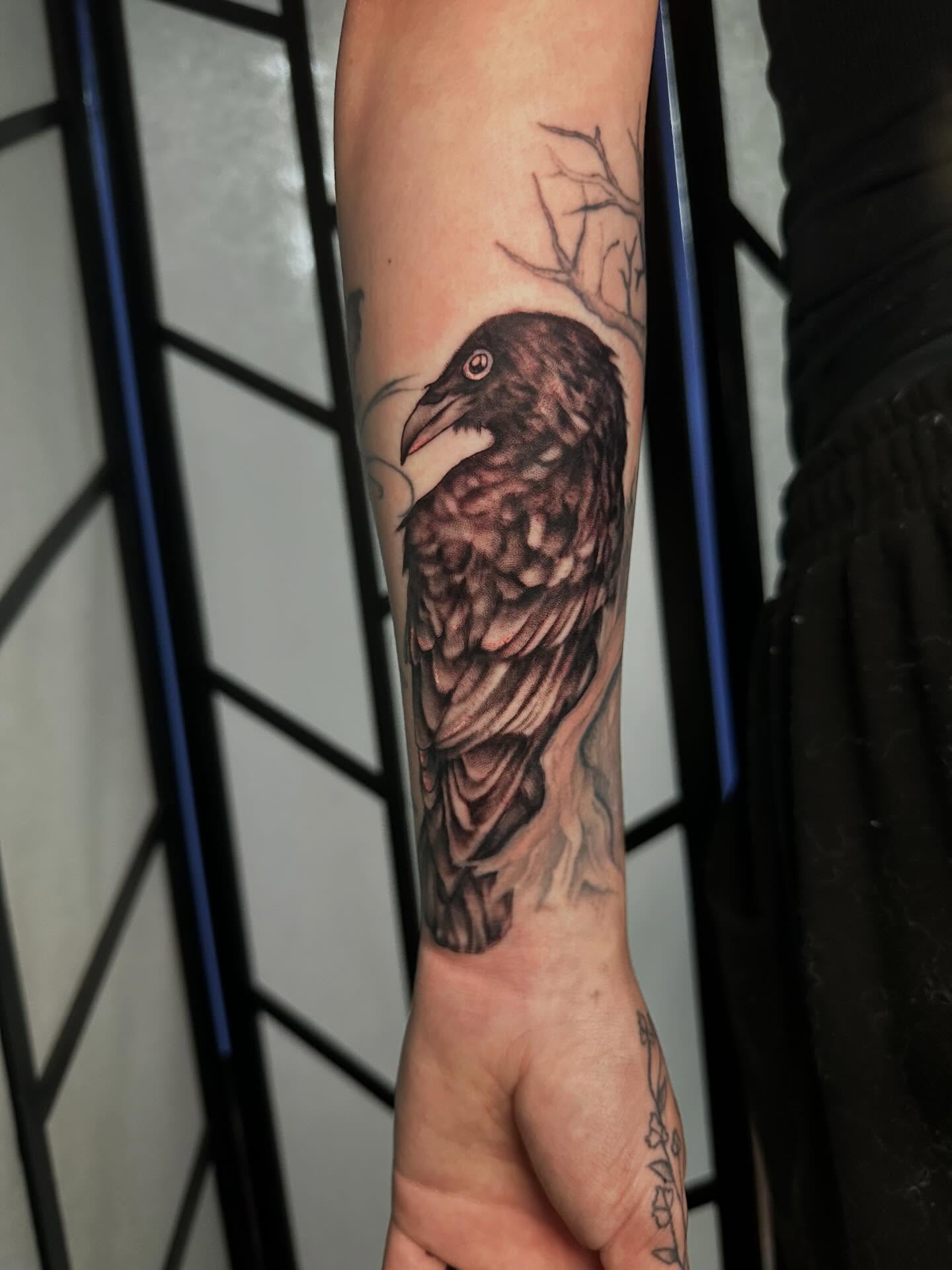 Crow realism tattoo on the forearm by Elisha B🦷