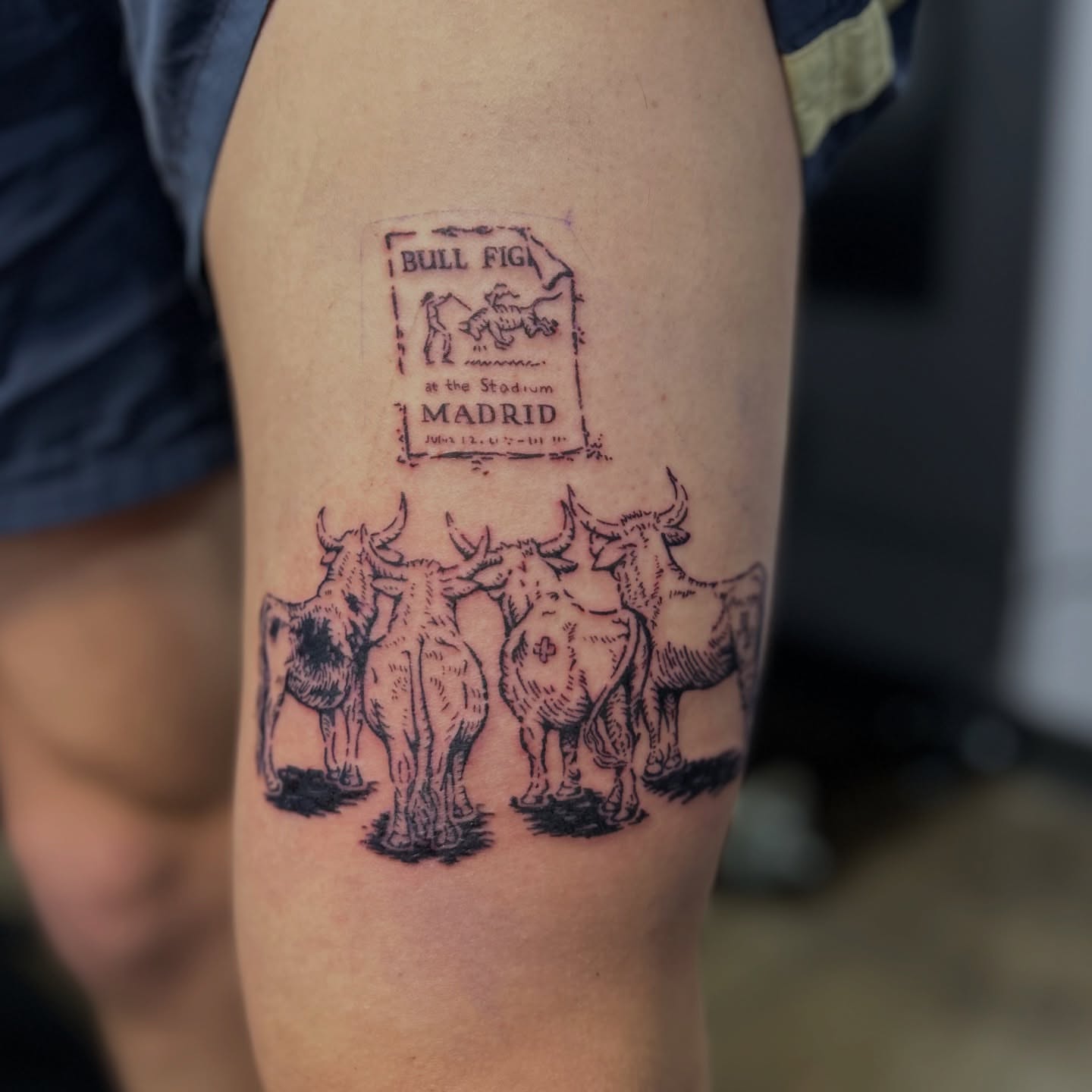Bullfighting black and grey tattoo on the forearm by Natalie Johnson, Minneapolis, Minnesota