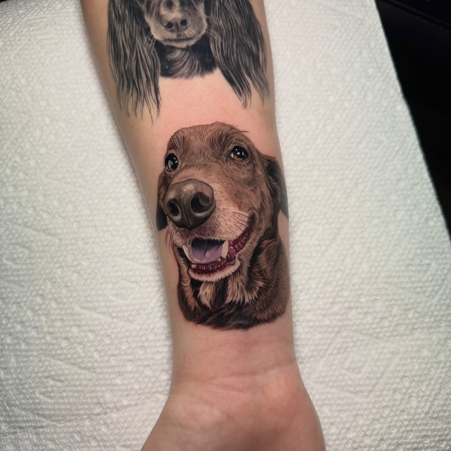 Dog realism tattoo on the forearm by Tiffany Bauer