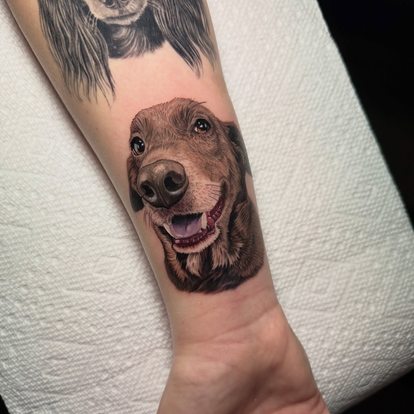 Dog realism tattoo on the forearm by Tiffany Bauer