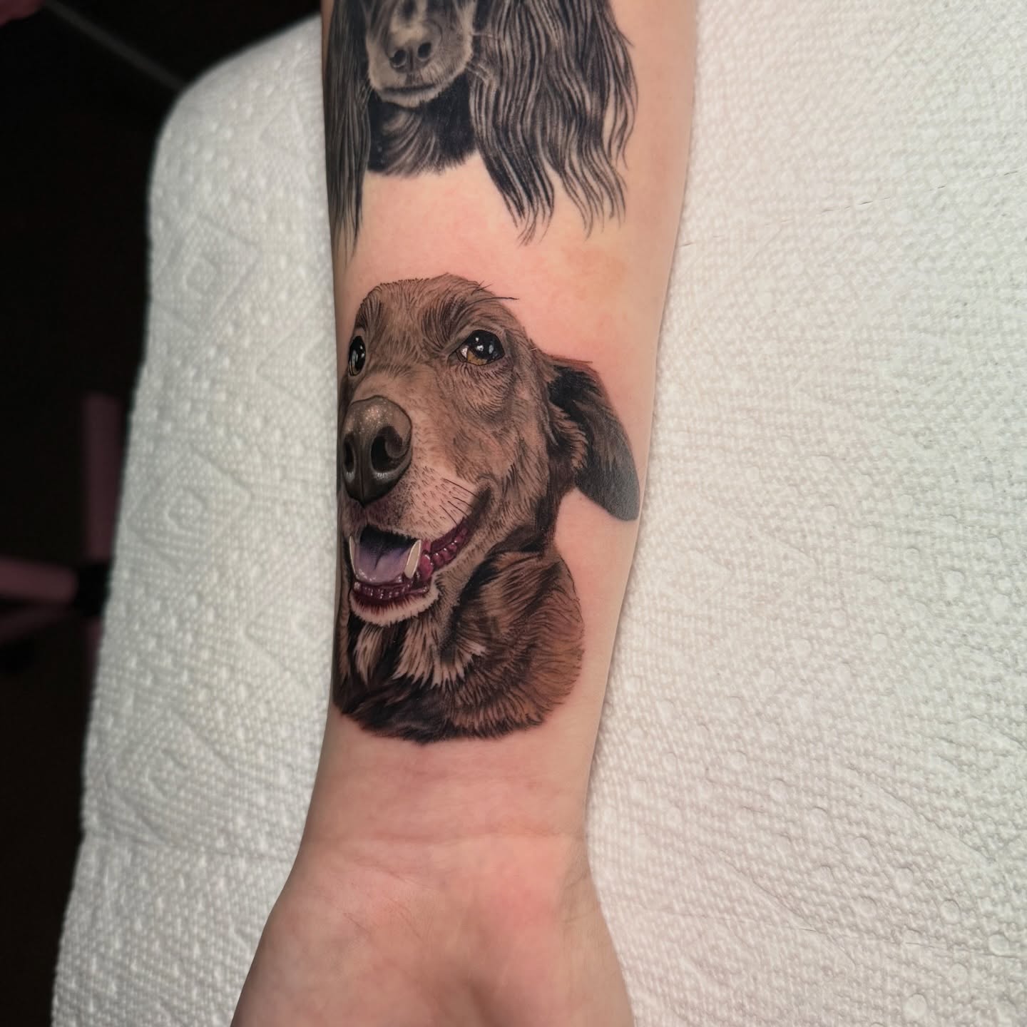 Dog portrait realism tattoo on the forearm by Tiffany Bauer
