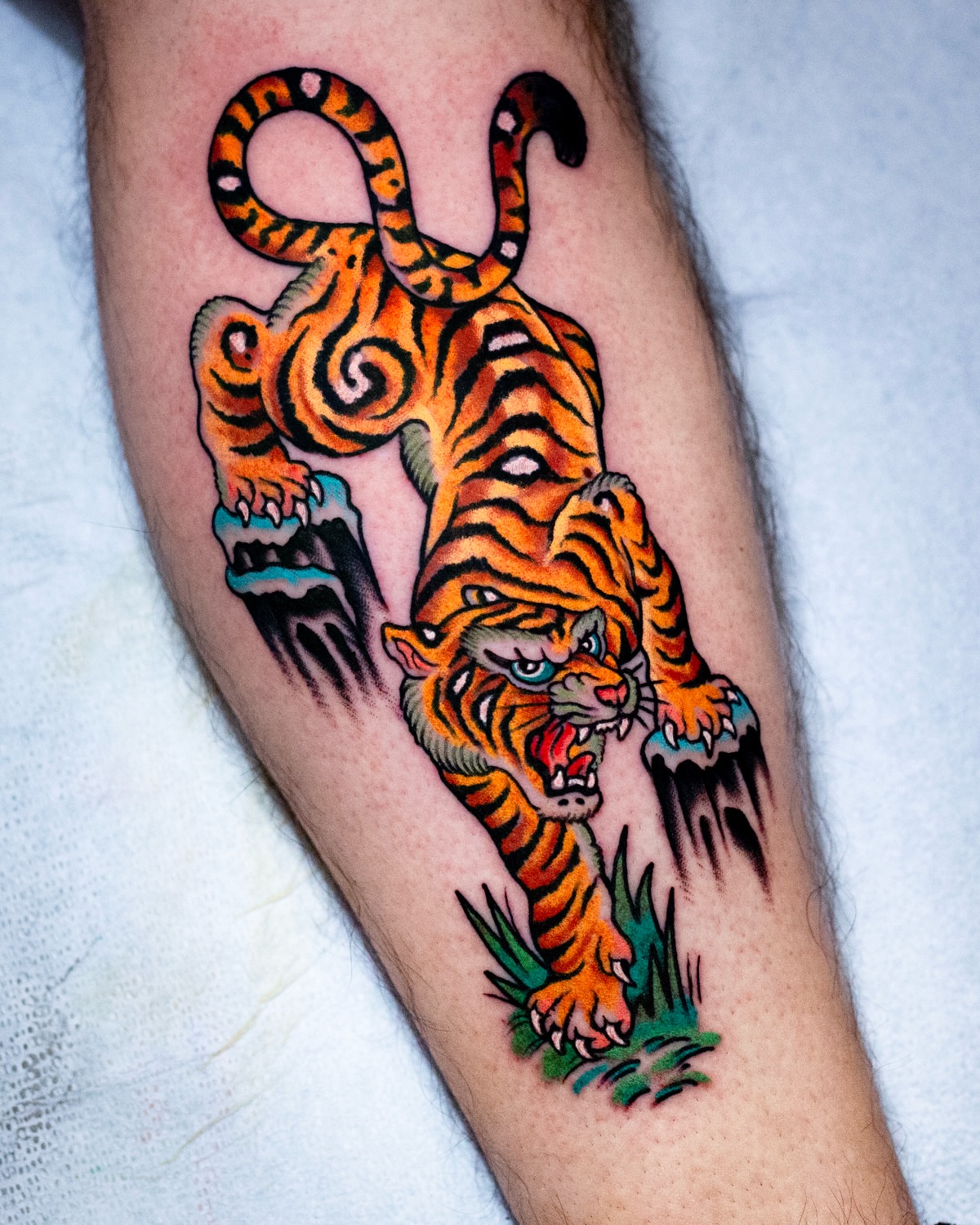 Tiger American traditional tattoo on the forearm by Miguel Comin