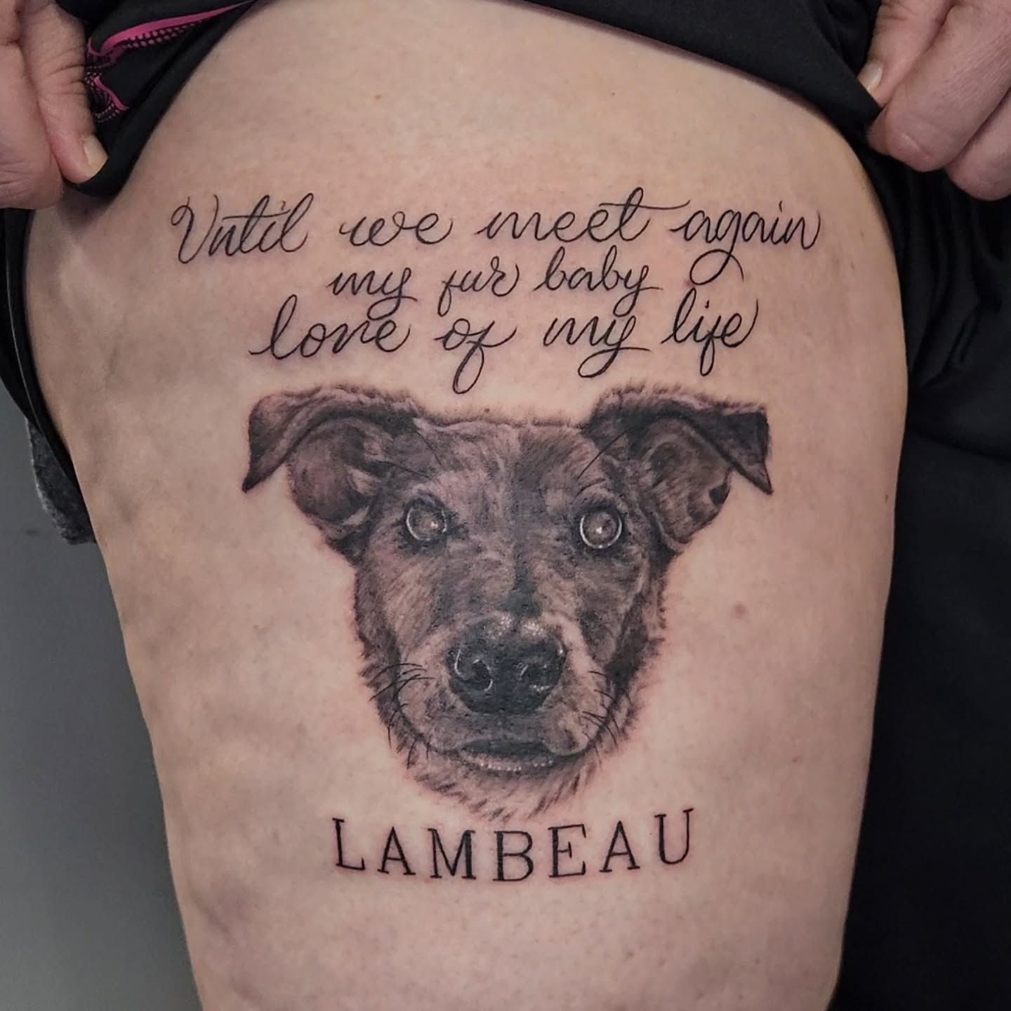 Dog portrait realism tattoo on the thigh by Jason August