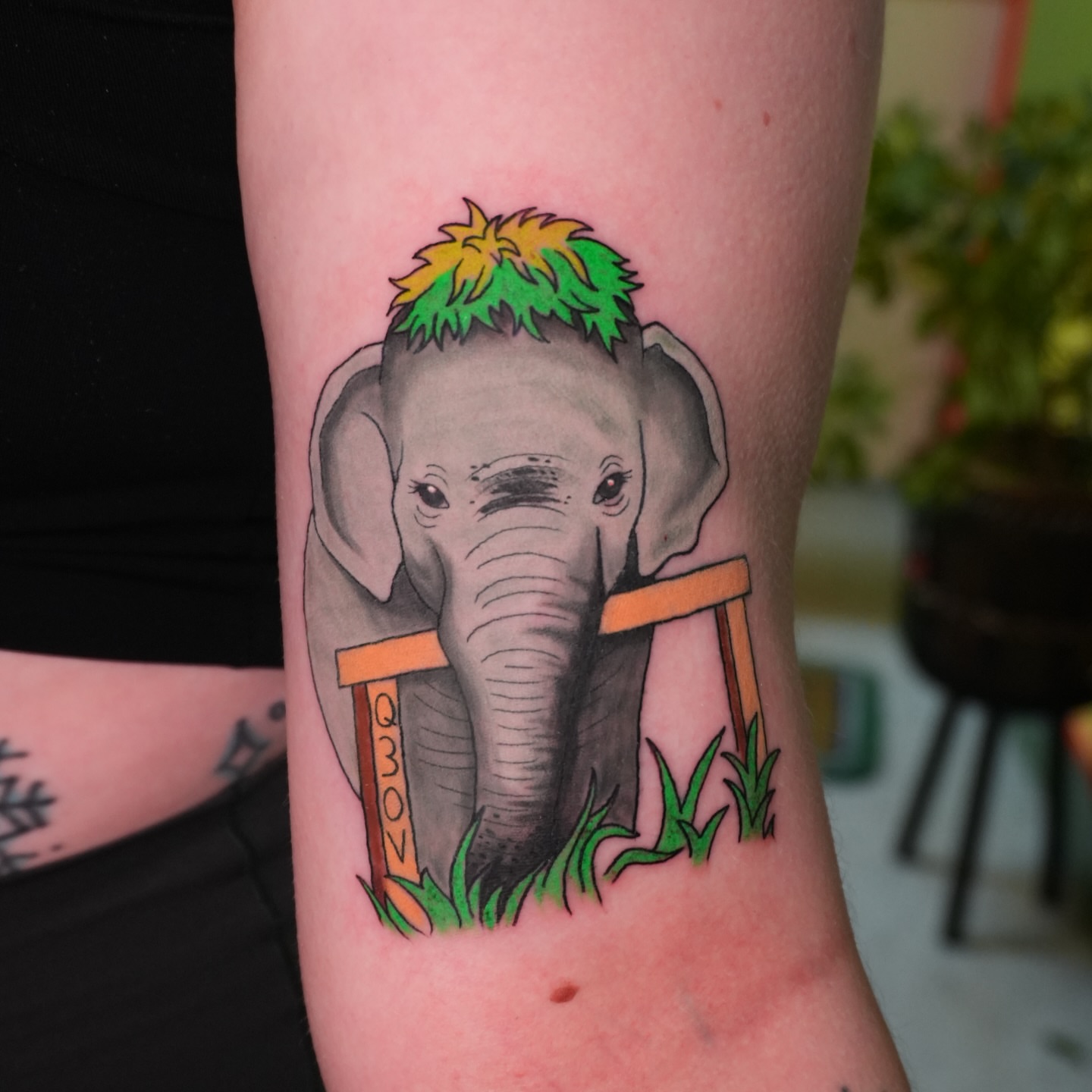 Elephant realism tattoo on the forearm by Sophie ✨ Nashville Tattoo Artist ✨
