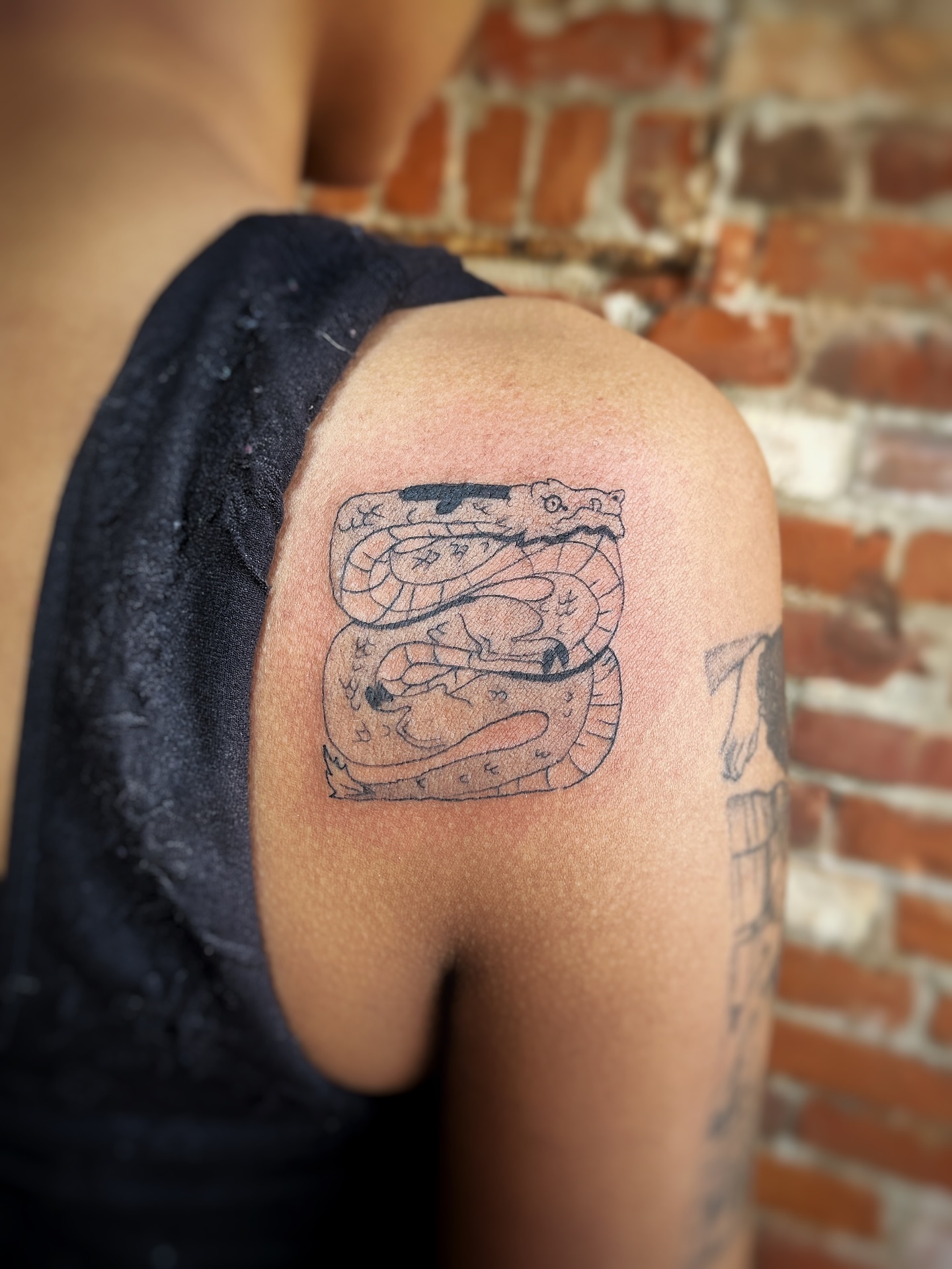 Snake black and grey tattoo on the shoulder by Risa Cincinnati Tattoo Artist