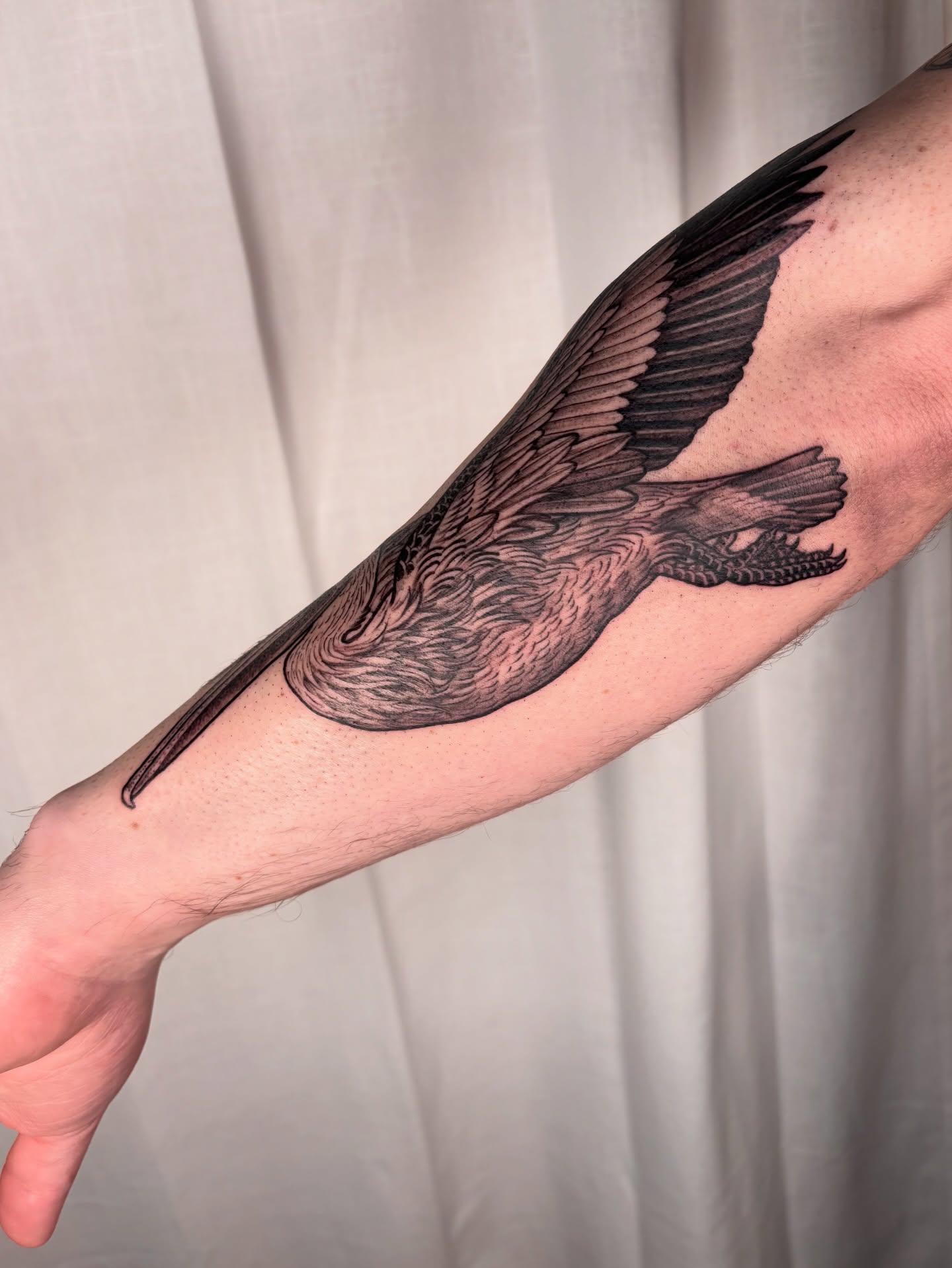 Bird black and grey tattoo on the forearm by Maggie