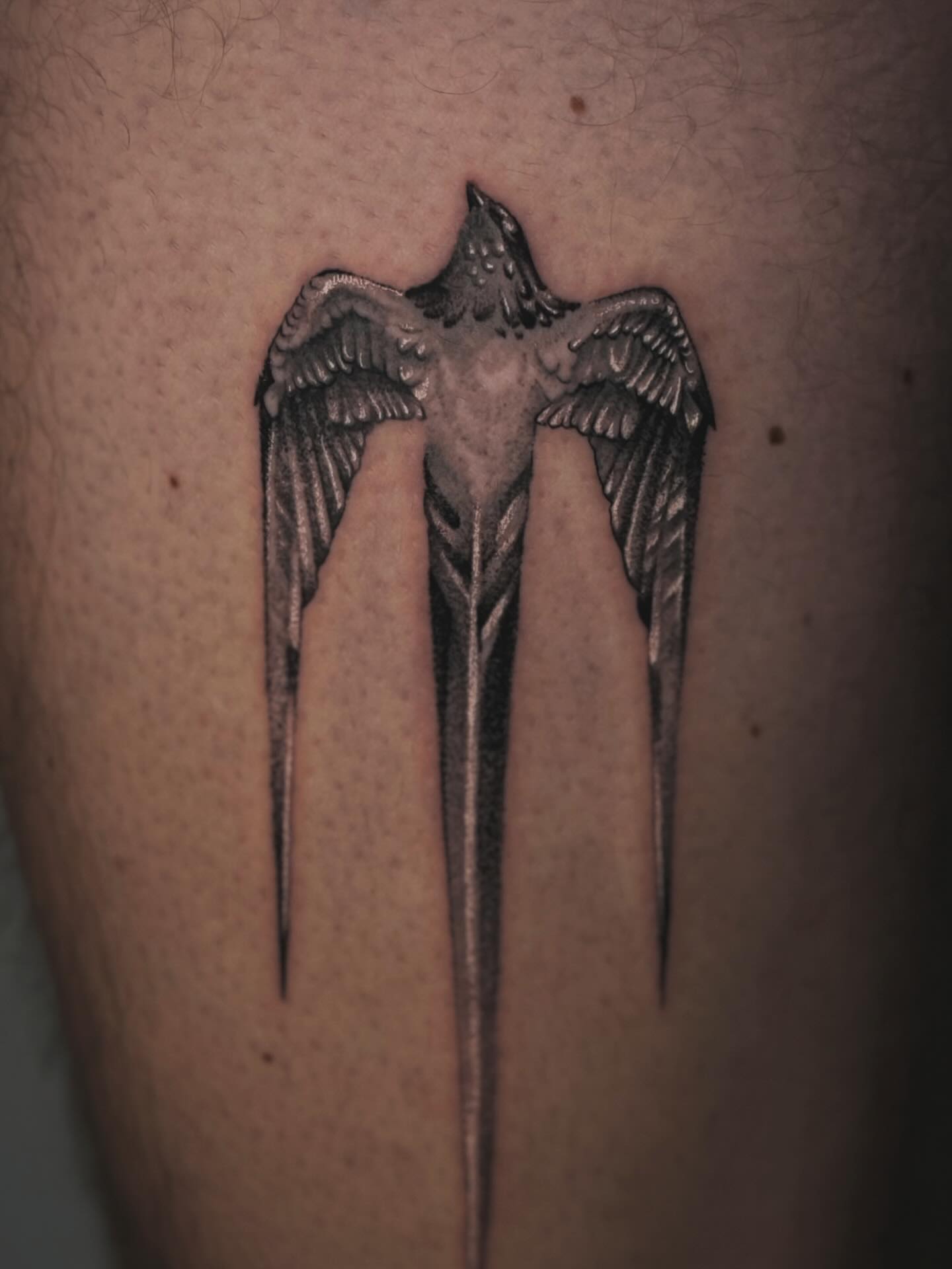 Tattoo by @owens_tattoos — black_and_grey