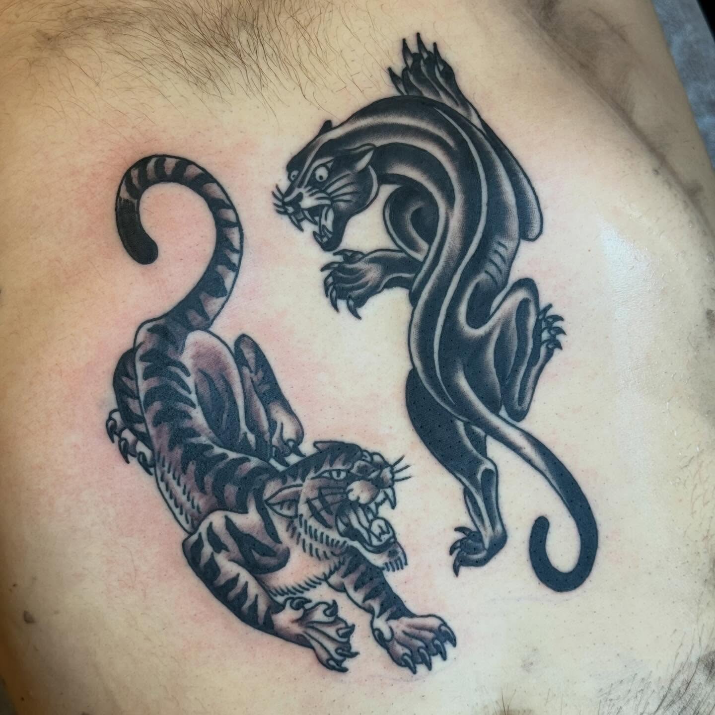 Tiger and panther black and grey tattoo on the chest by Jack Hatchet Tattoos