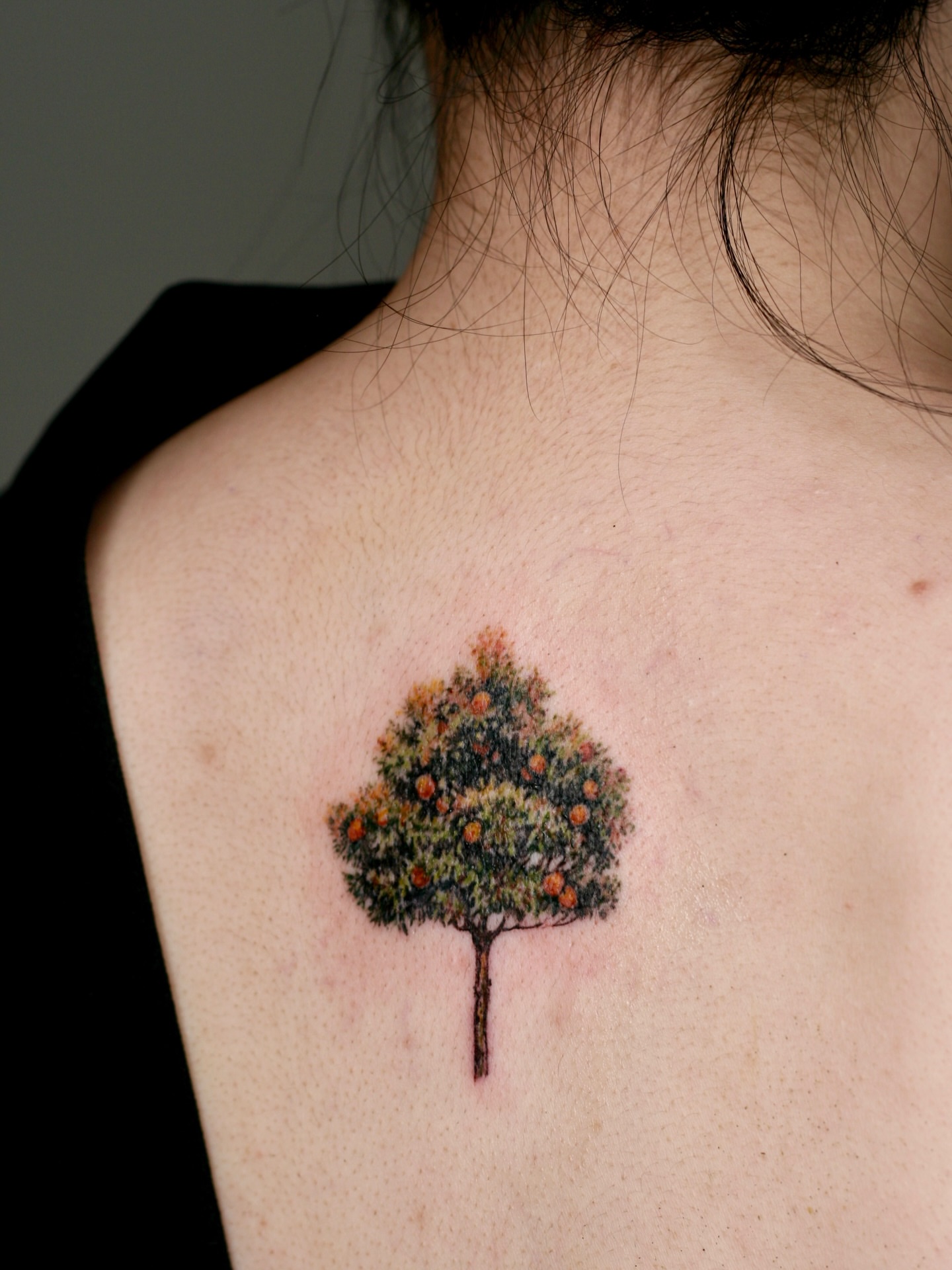 Tree realism tattoo on the shoulder by Isle