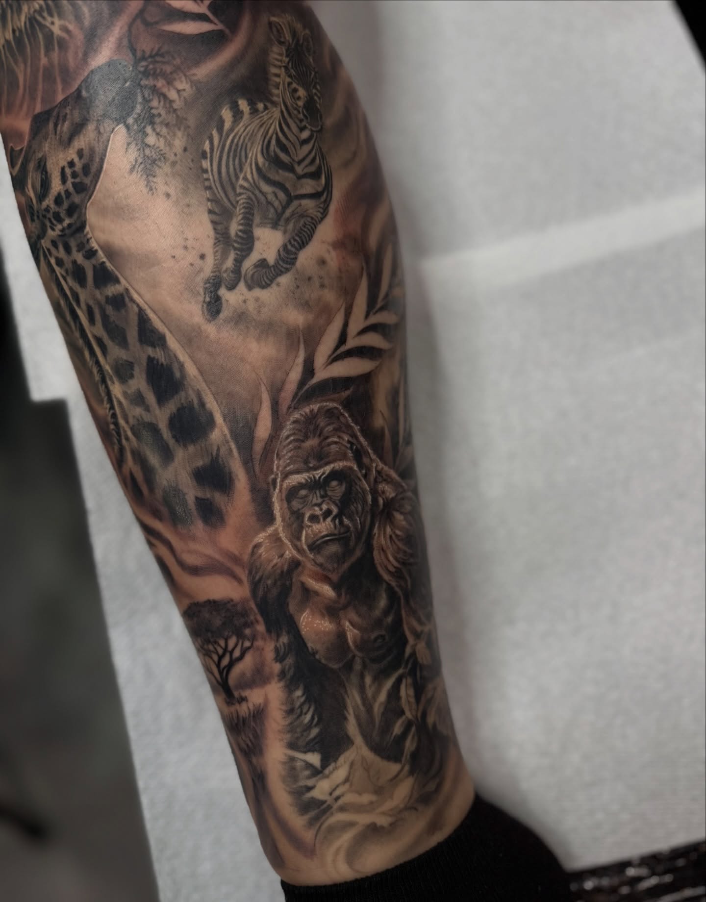 Gorilla and tiger realism tattoo on the forearm by Tony Hernandez, Chicago, Illinois